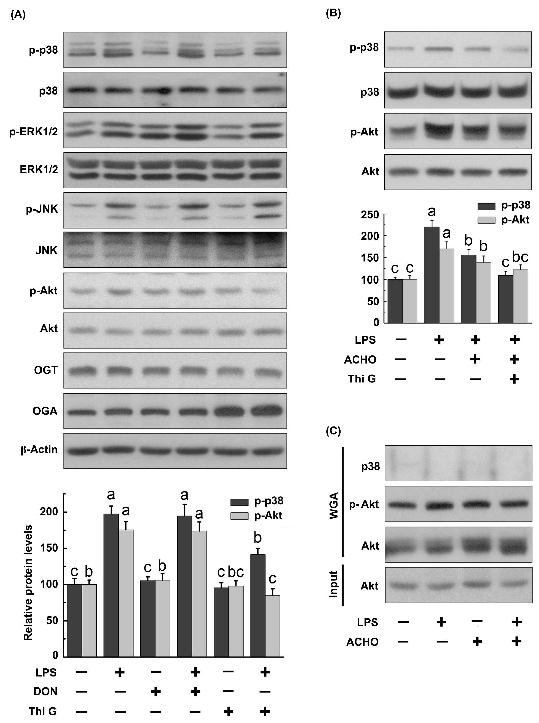 Molecules 23 00051 g005 Molecules 23 00051 g005