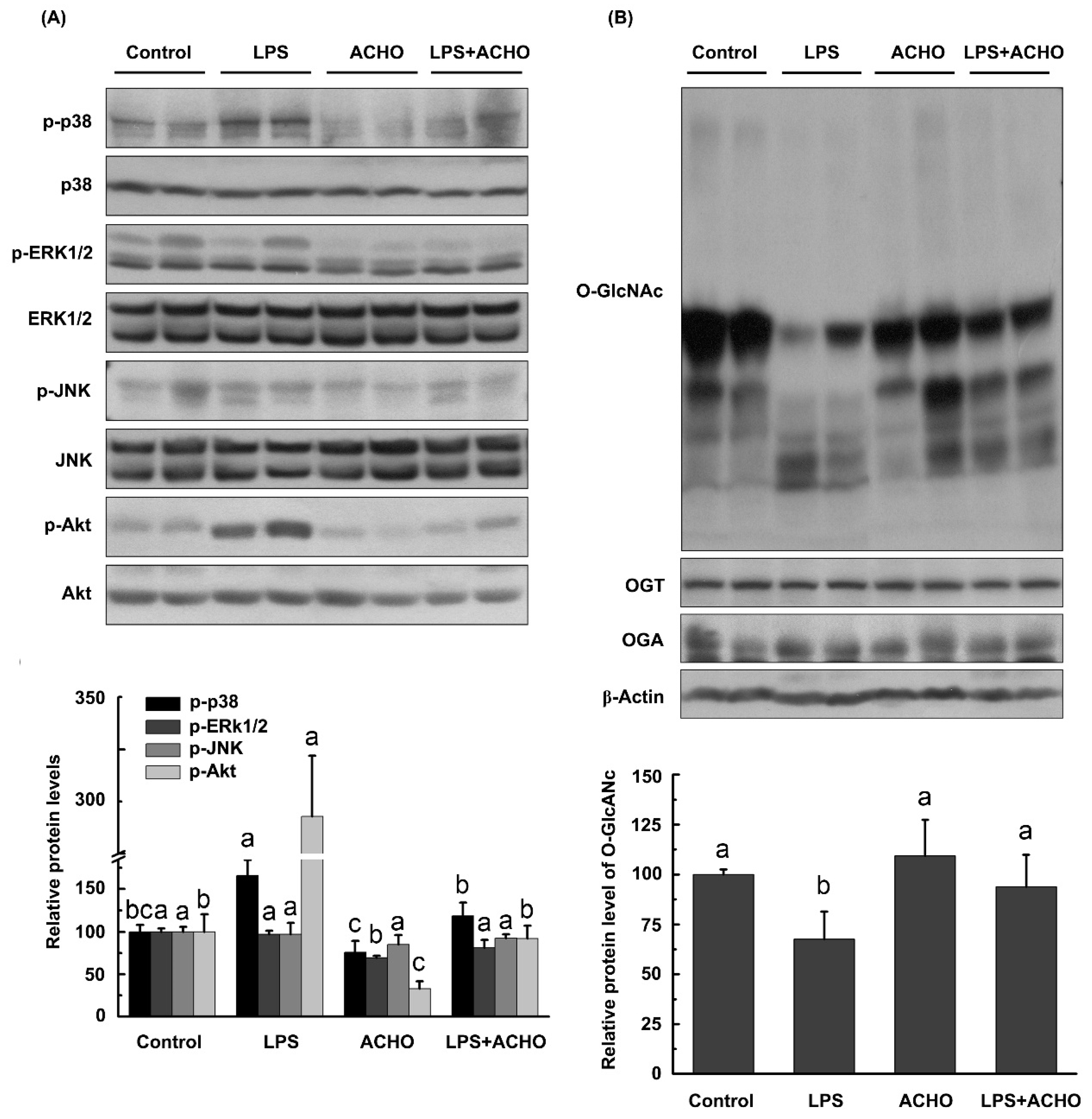 Molecules 23 00051 g006 Molecules 23 00051 g006
