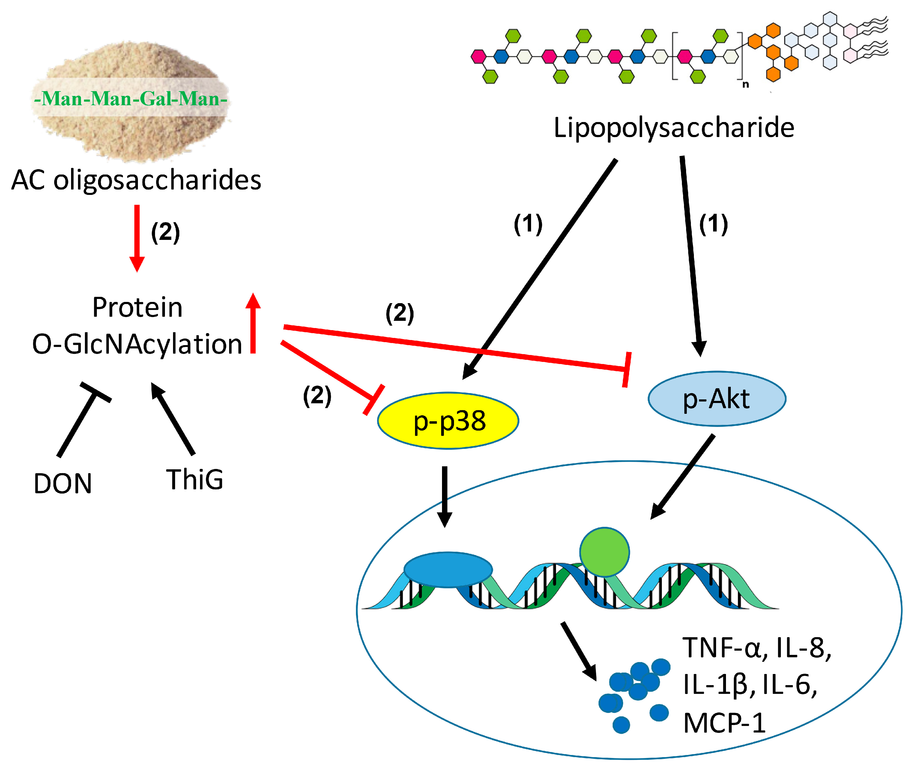 Molecules 23 00051 g008 Molecules 23 00051 g008