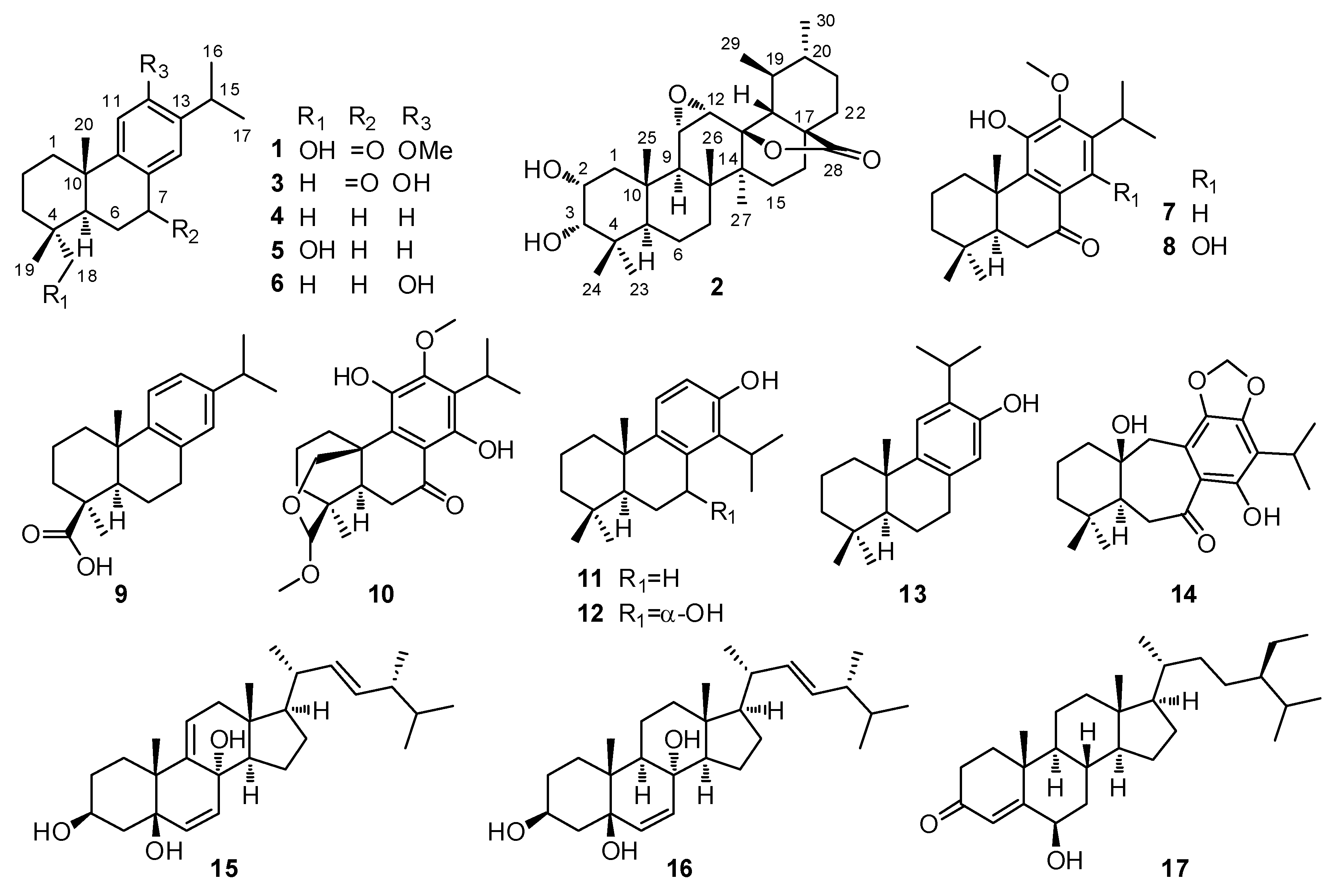 Molecules 23 00057 g002