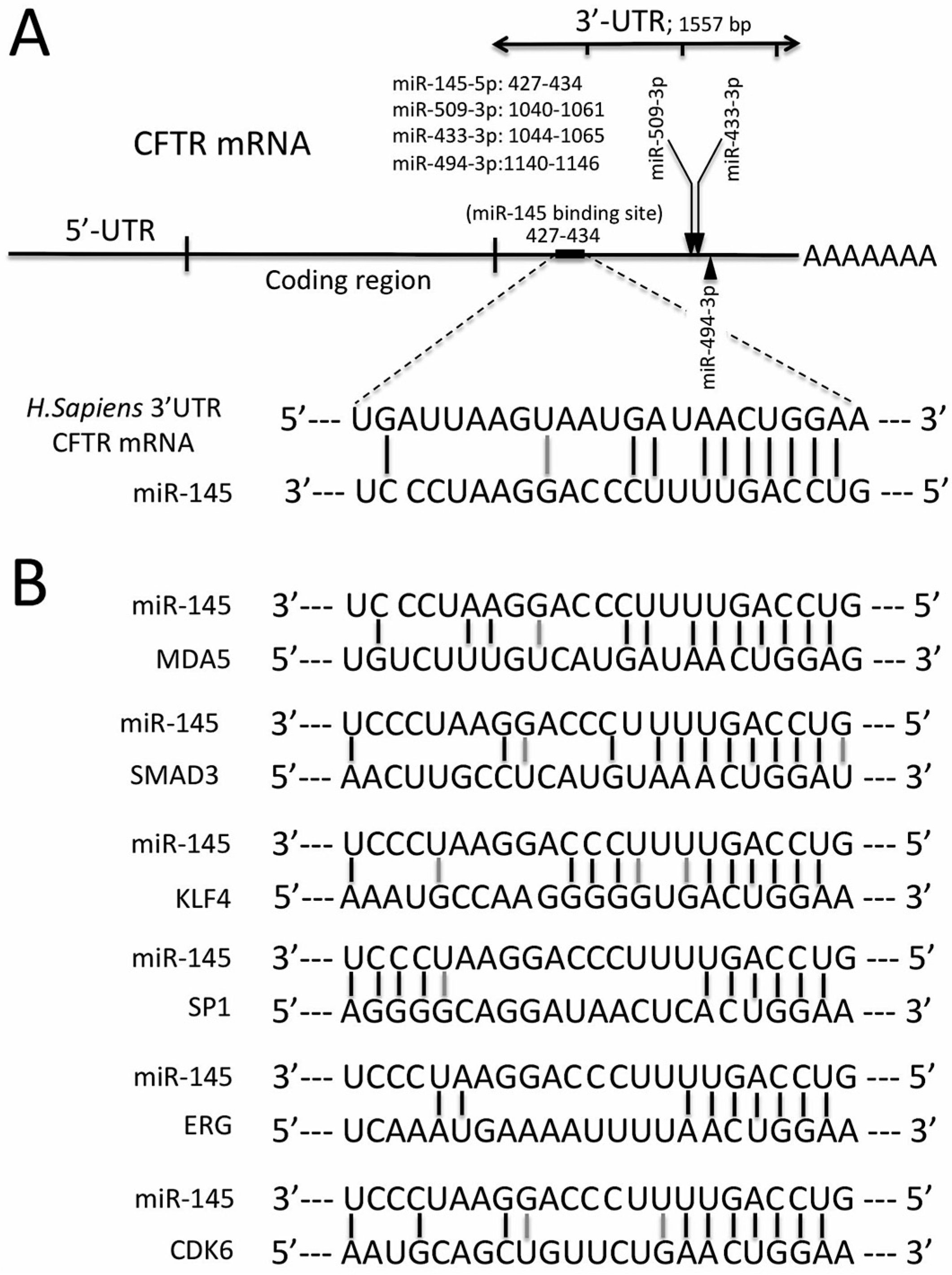 Molecules 23 00071 g001