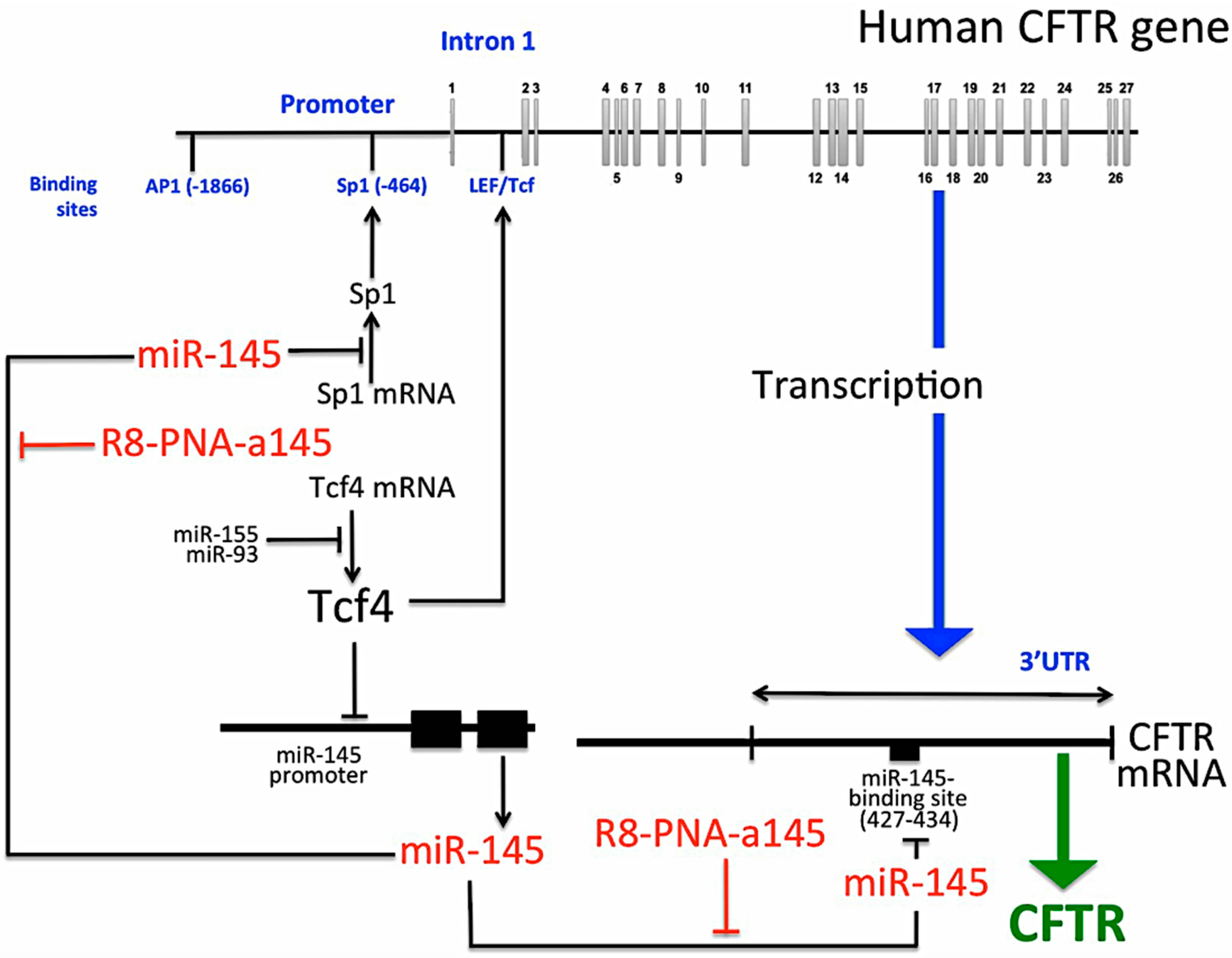 Molecules 23 00071 g006