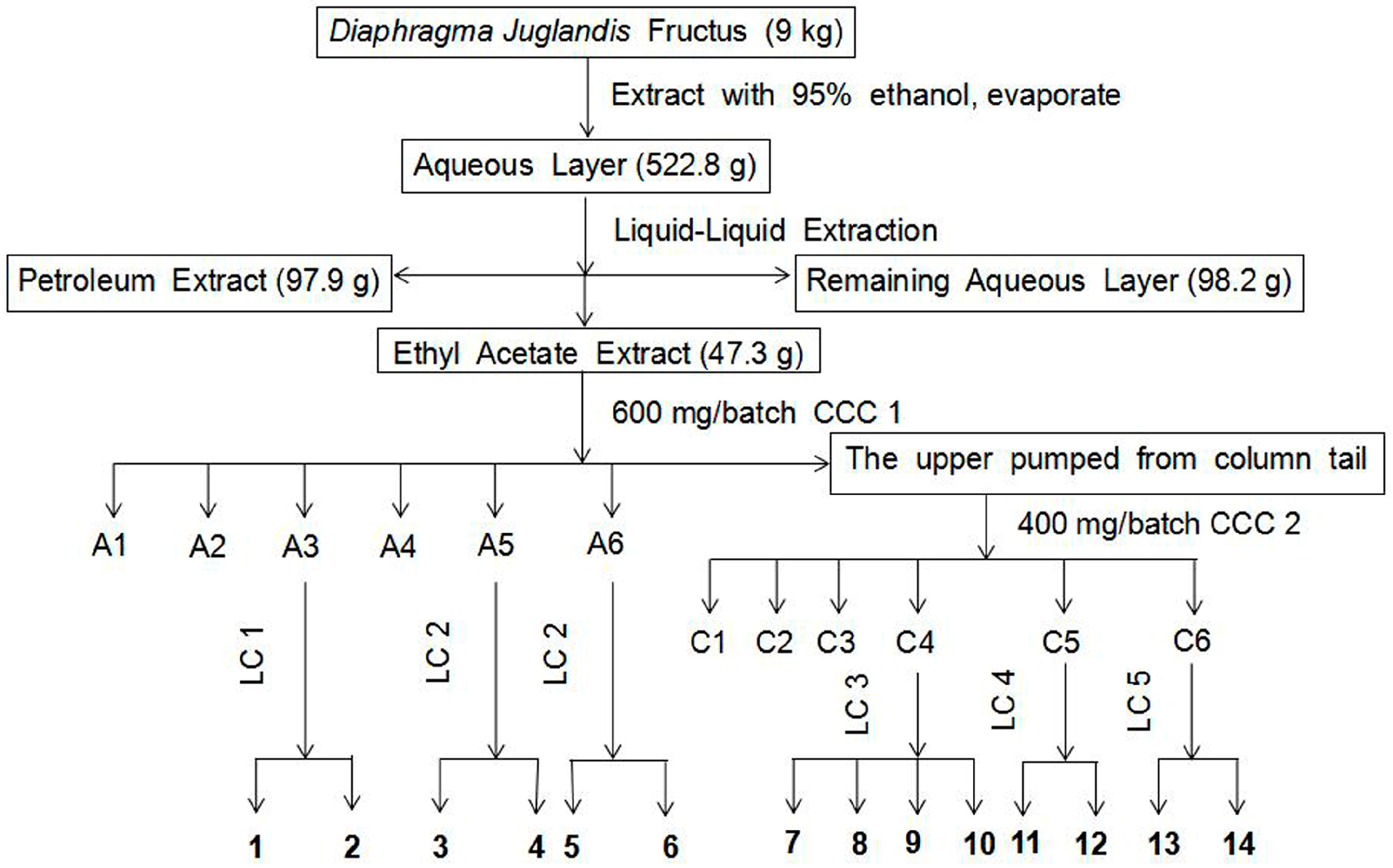 Molecules 23 00072 g004