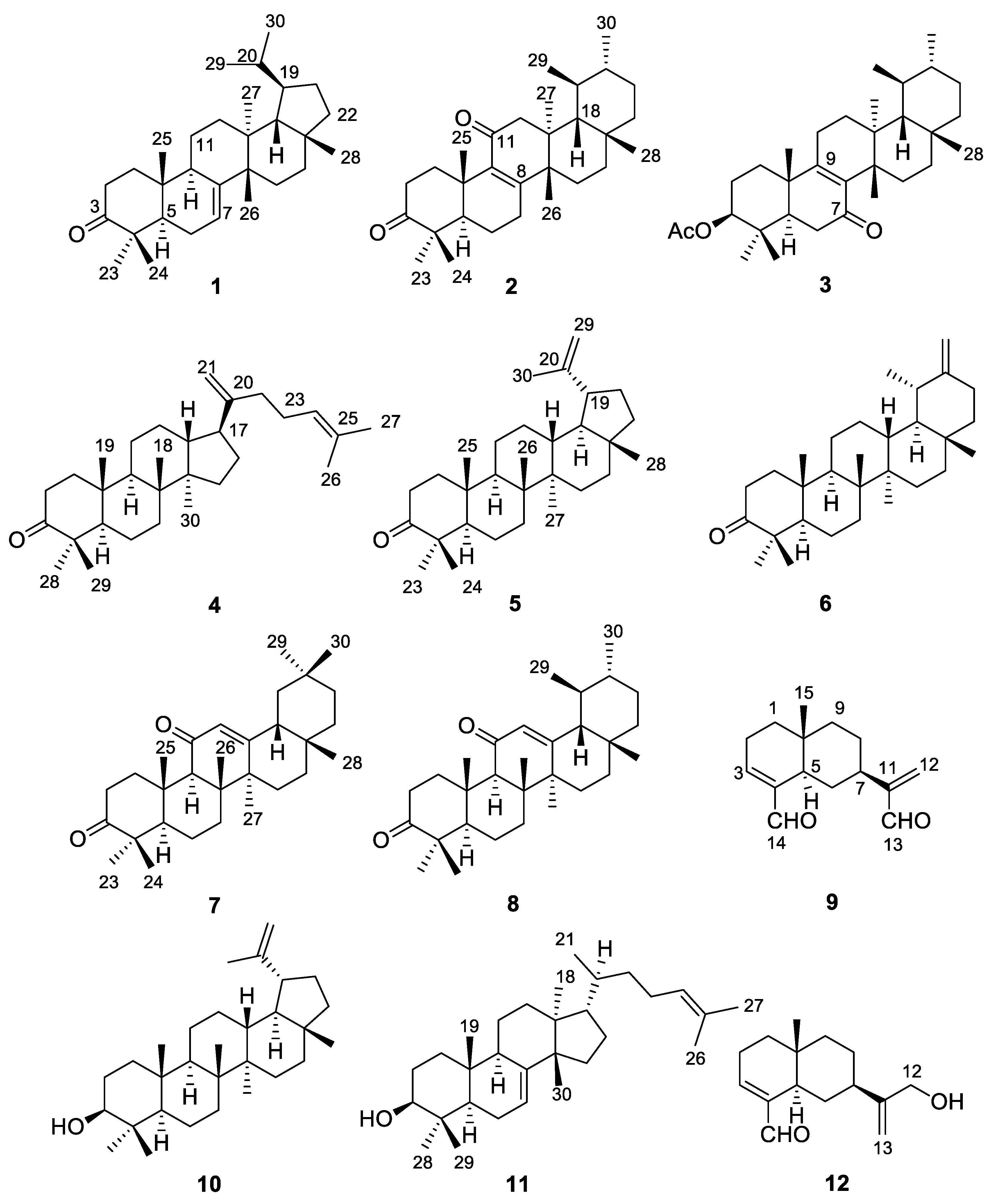 Molecules 23 00080 g001