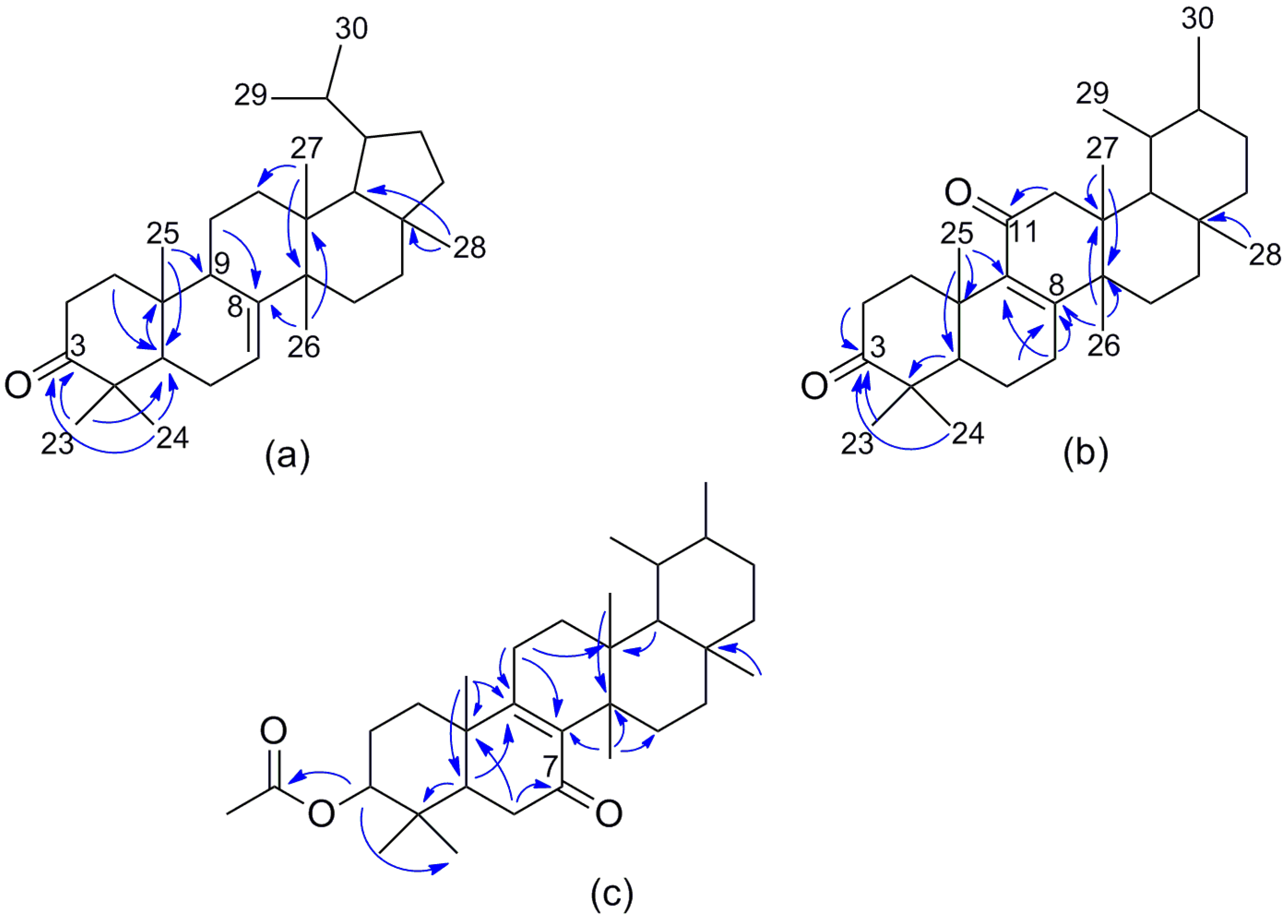Molecules 23 00080 g002
