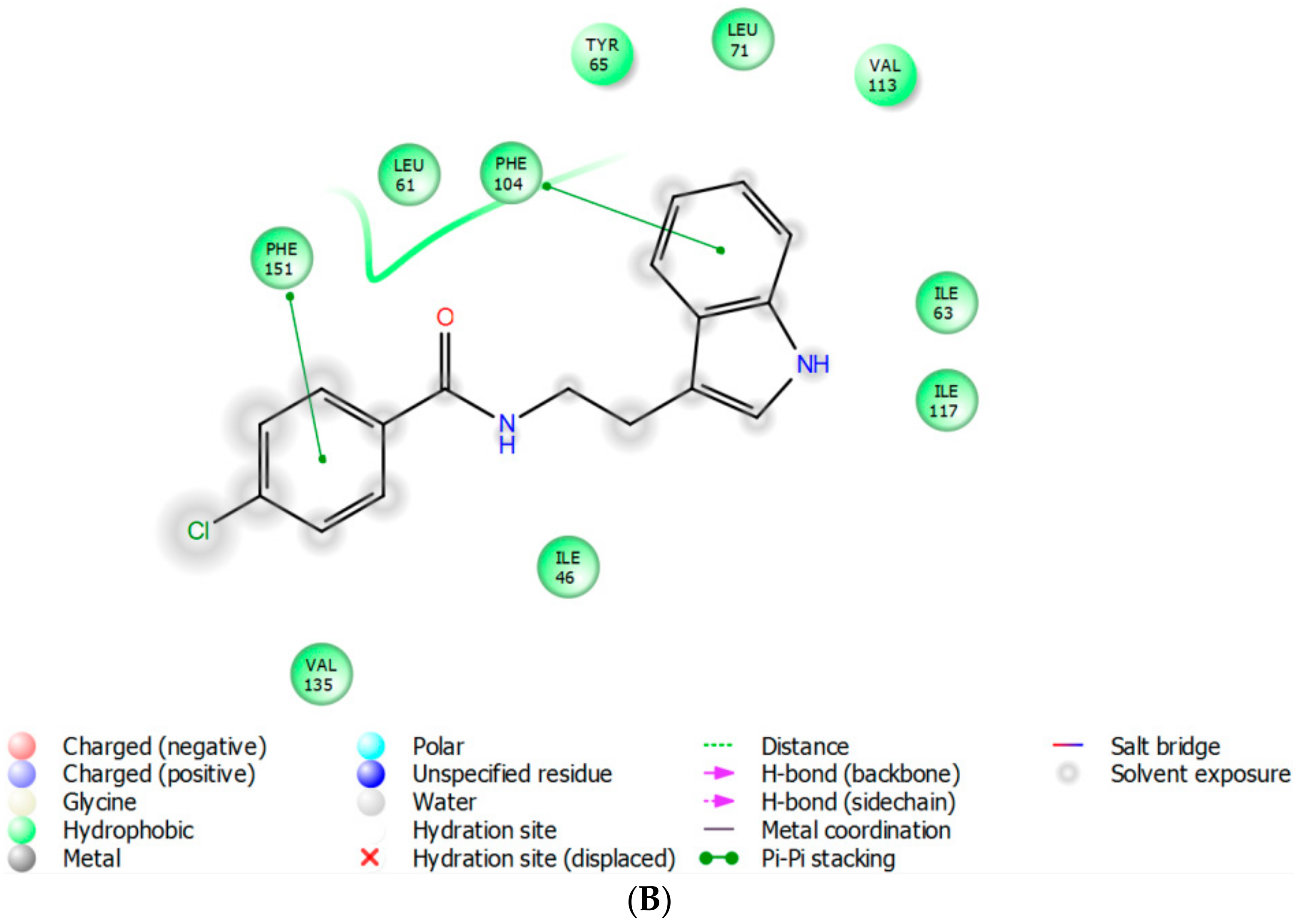 Molecules 23 00102 g005b Molecules 23 00102 g005b
