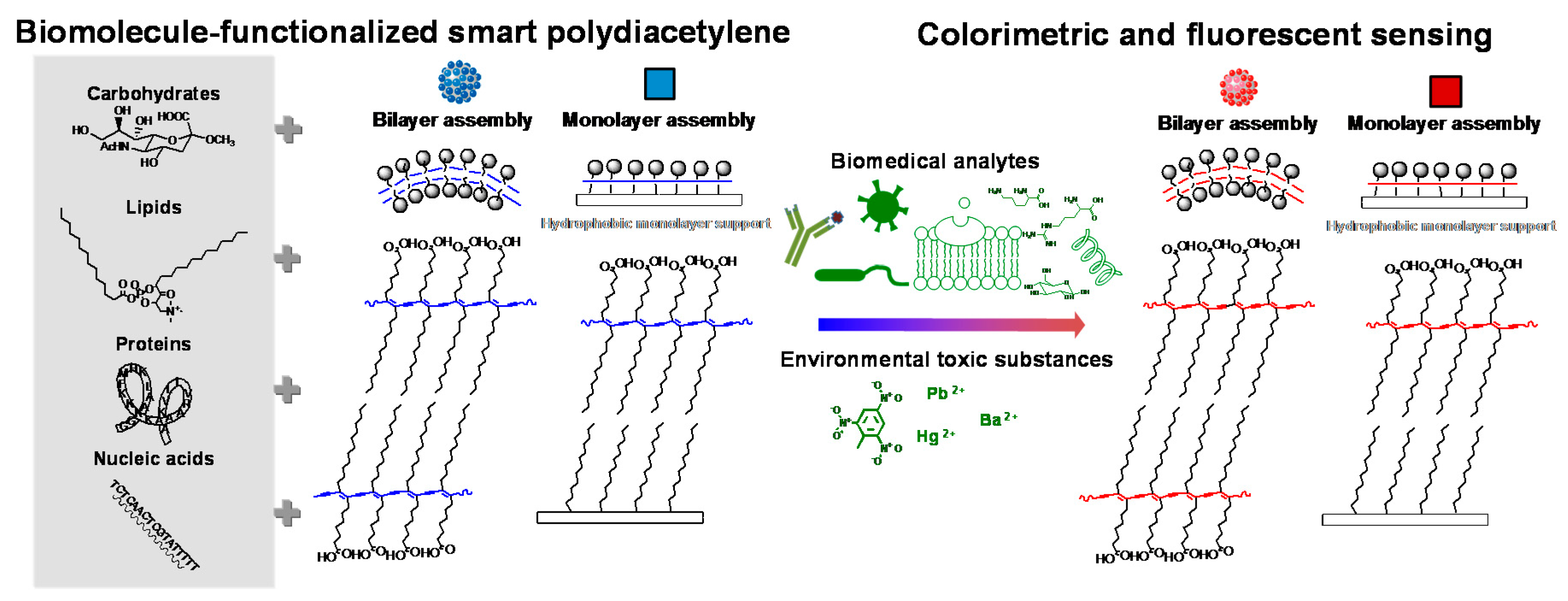 Molecules 23 00107 g002
