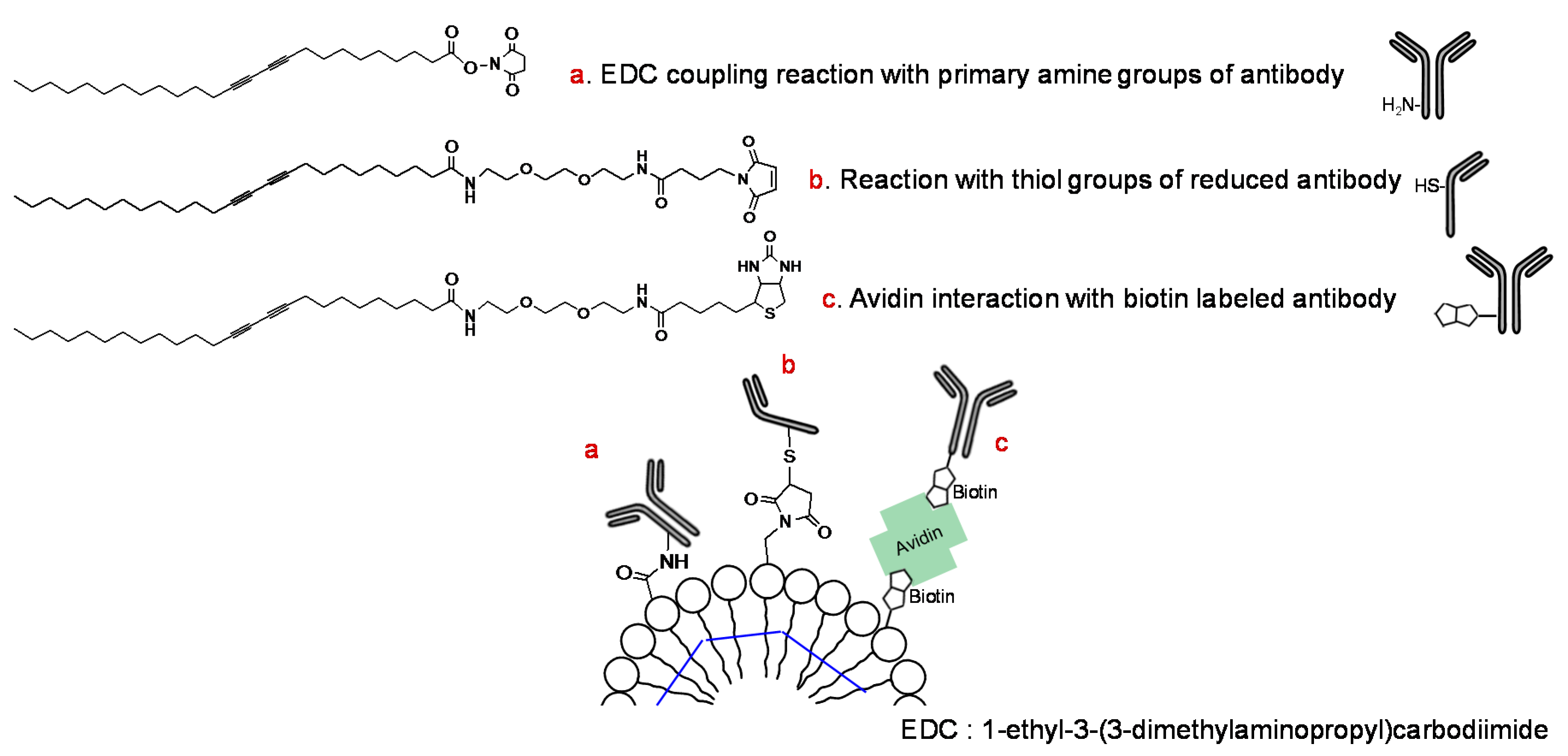 Molecules 23 00107 g003