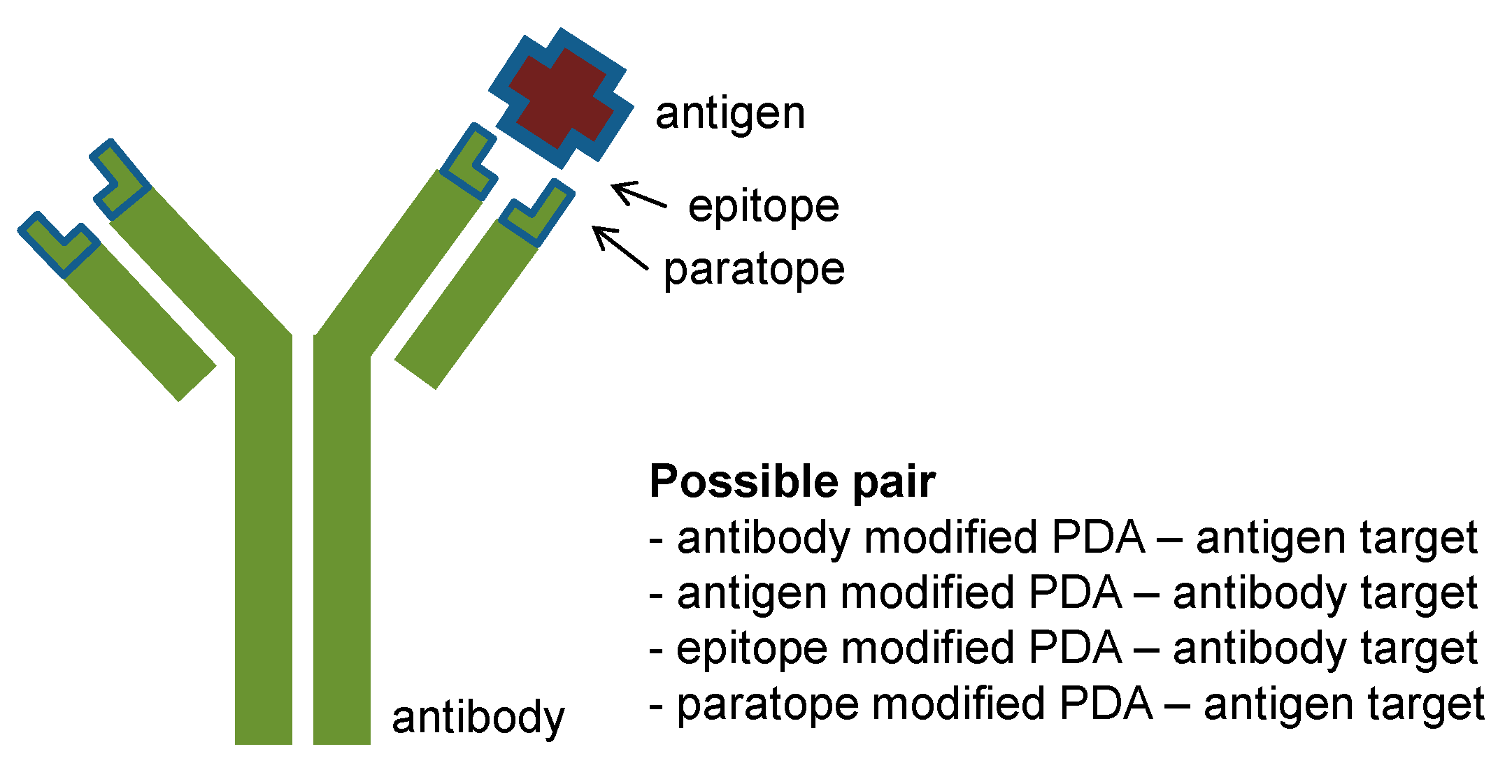 Molecules 23 00107 g004