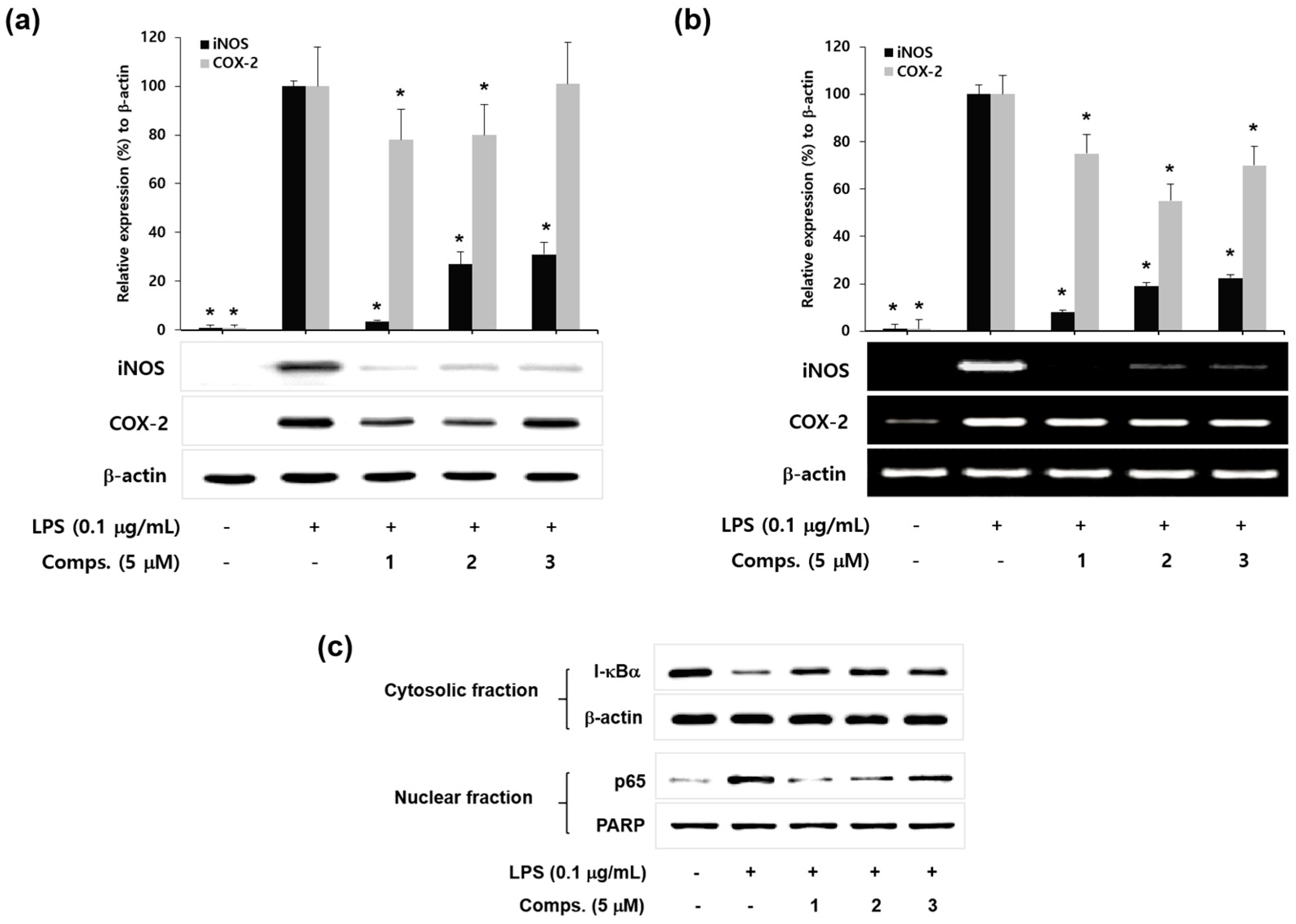 Molecules 23 00109 g003