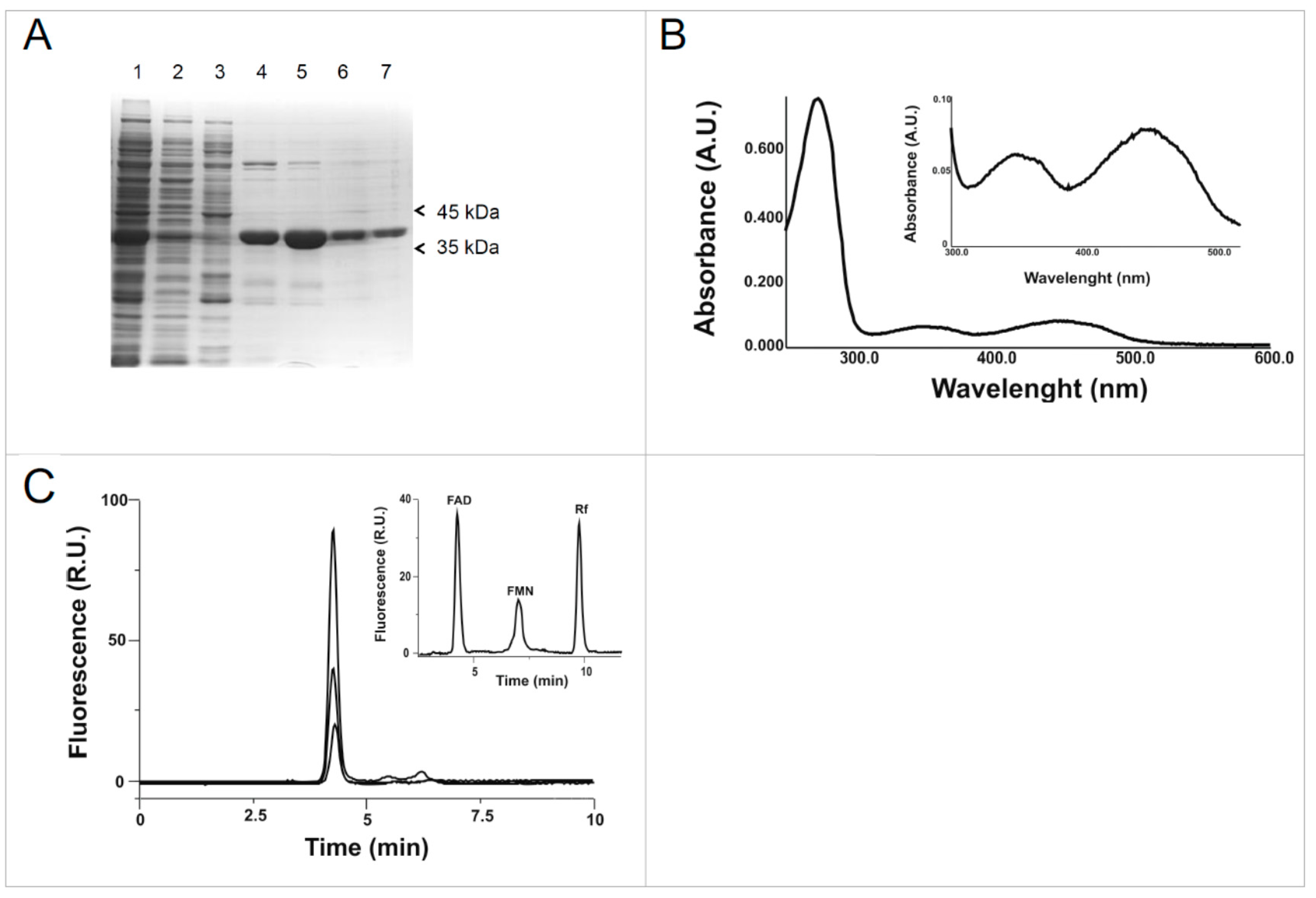 Molecules 23 00116 g003