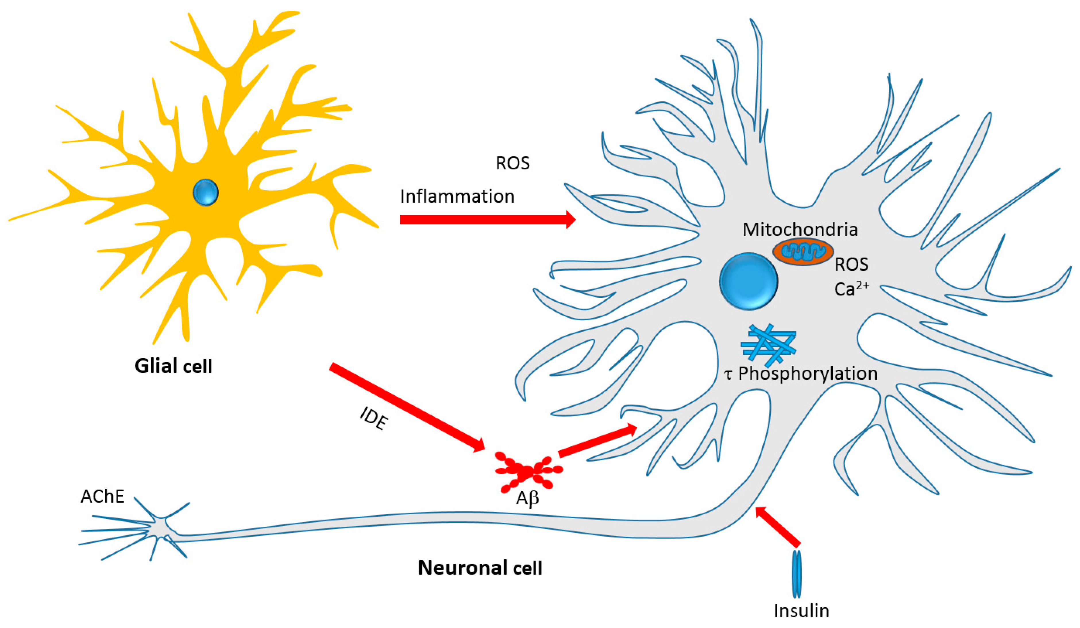 Molecules 23 00117 g004