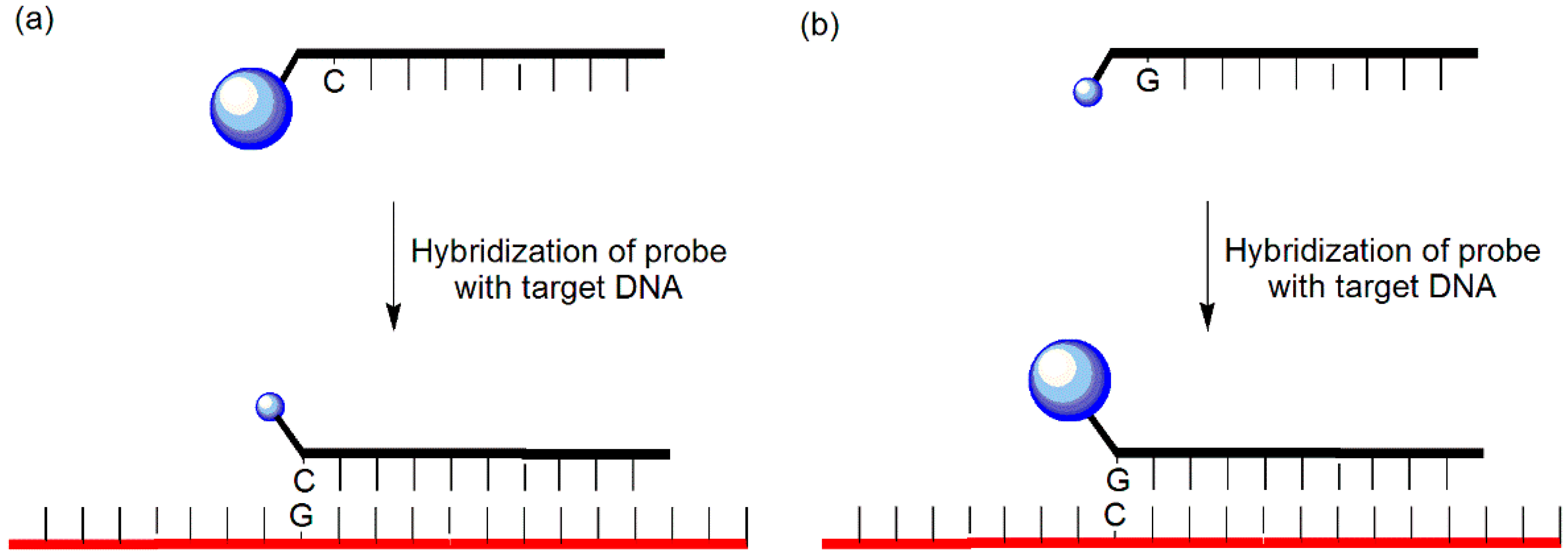 Molecules 23 00124 g002