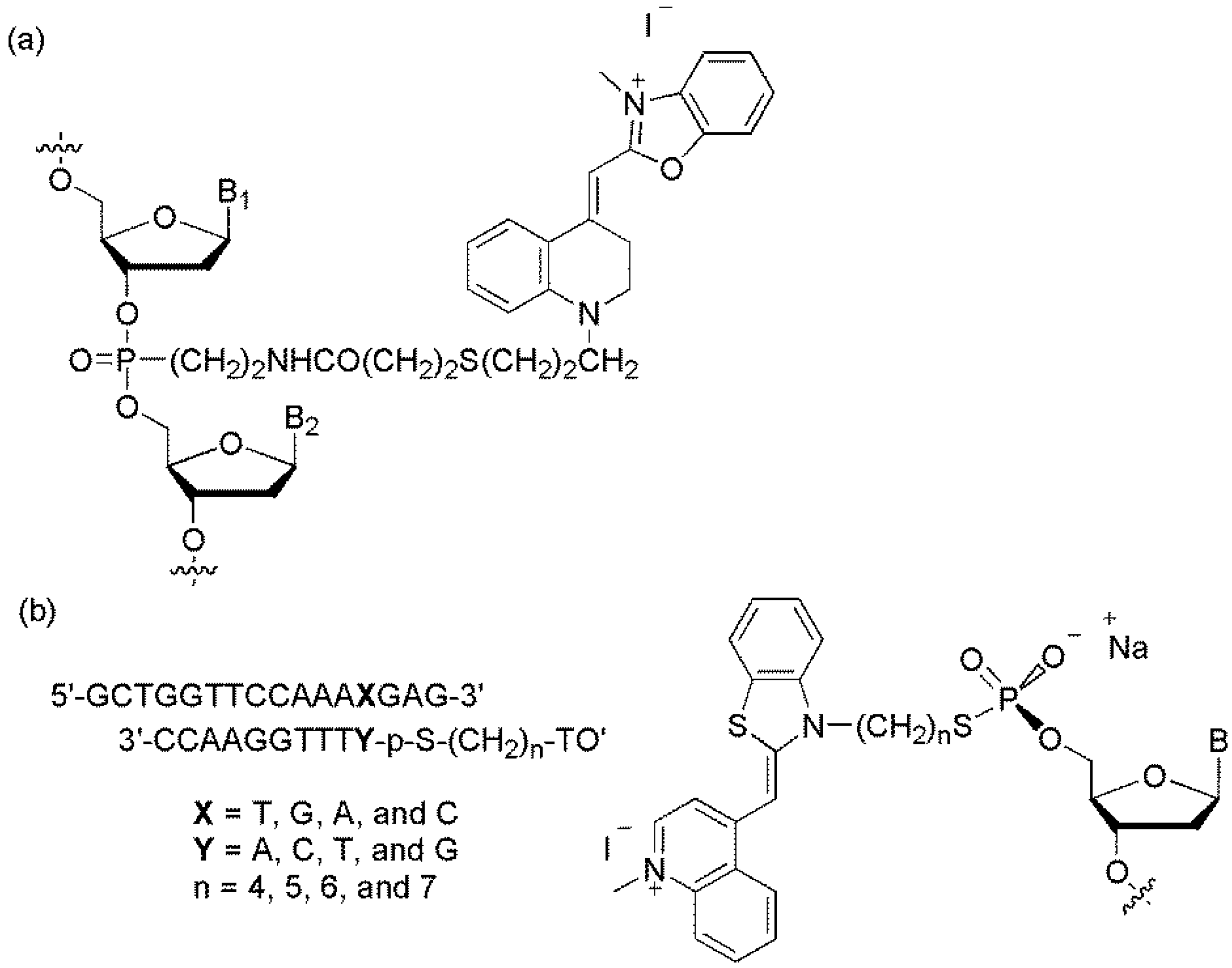 Molecules 23 00124 g003