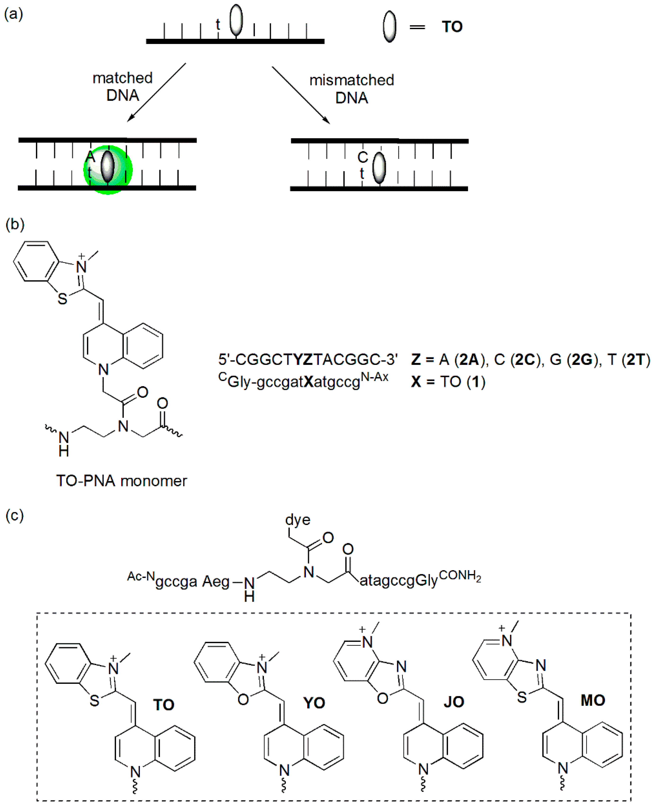 Molecules 23 00124 g004