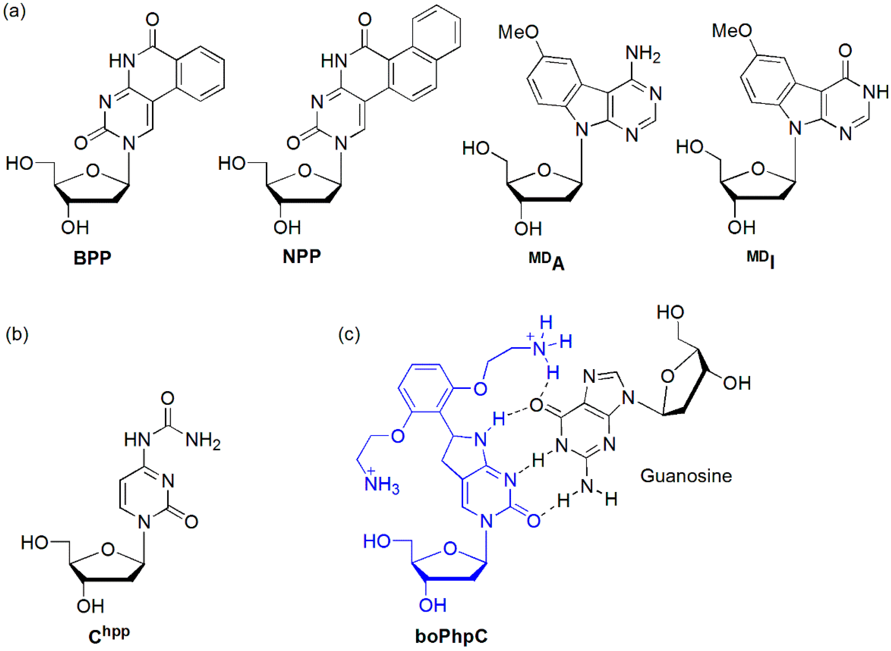 Molecules 23 00124 g006