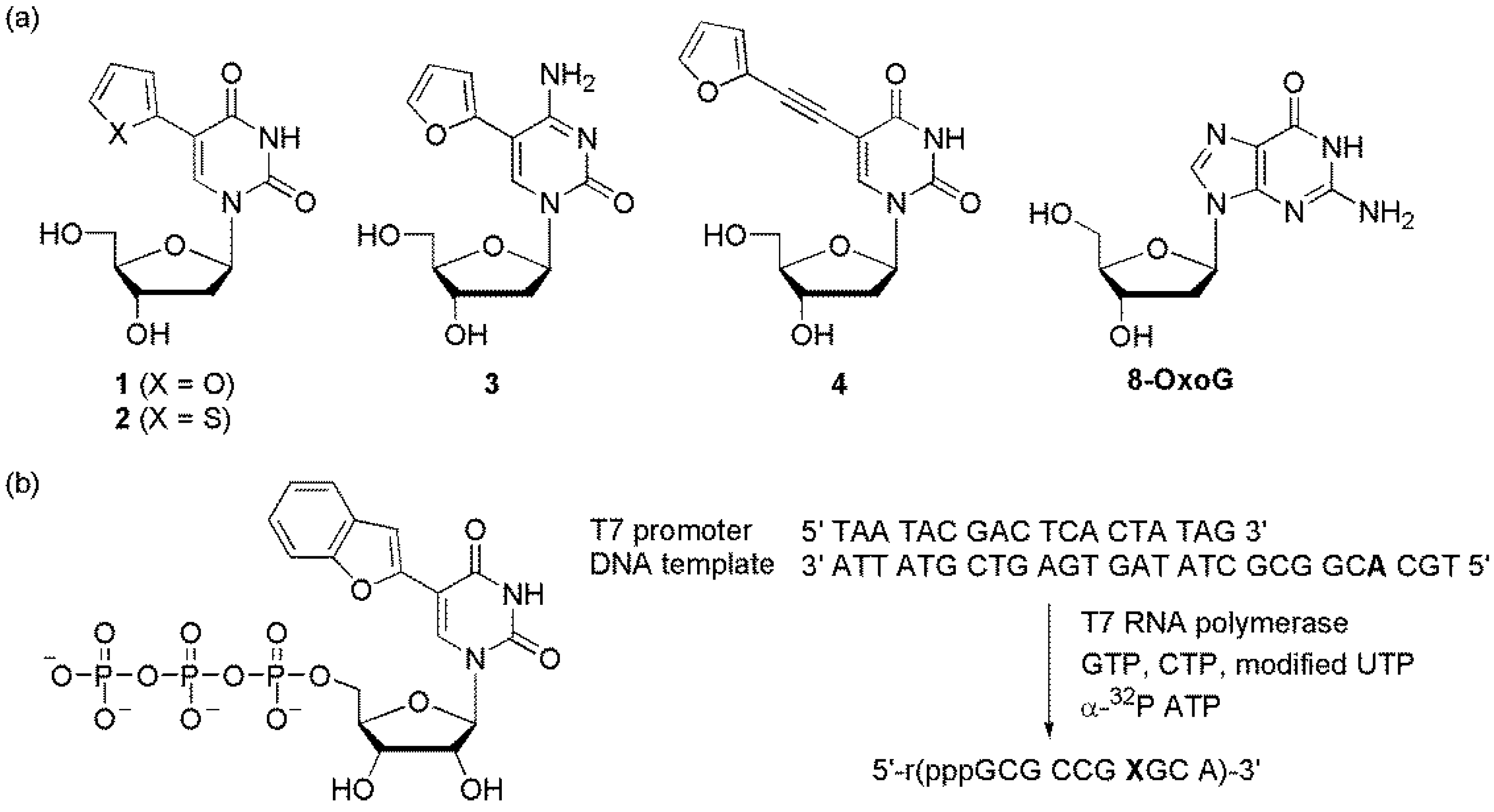 Molecules 23 00124 g015