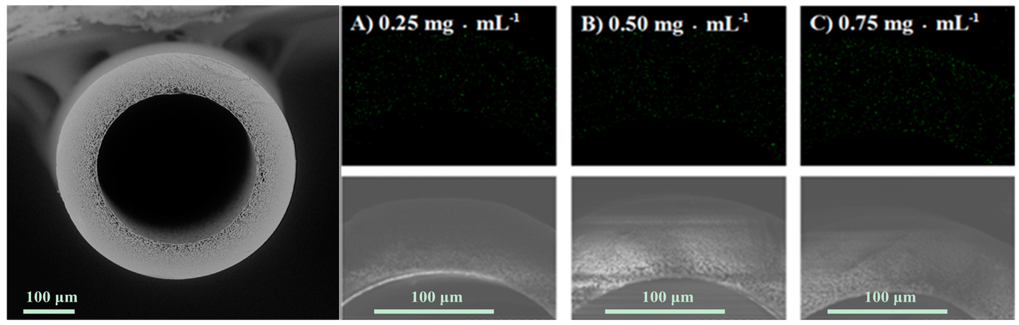 Molecules 23 00144 g004