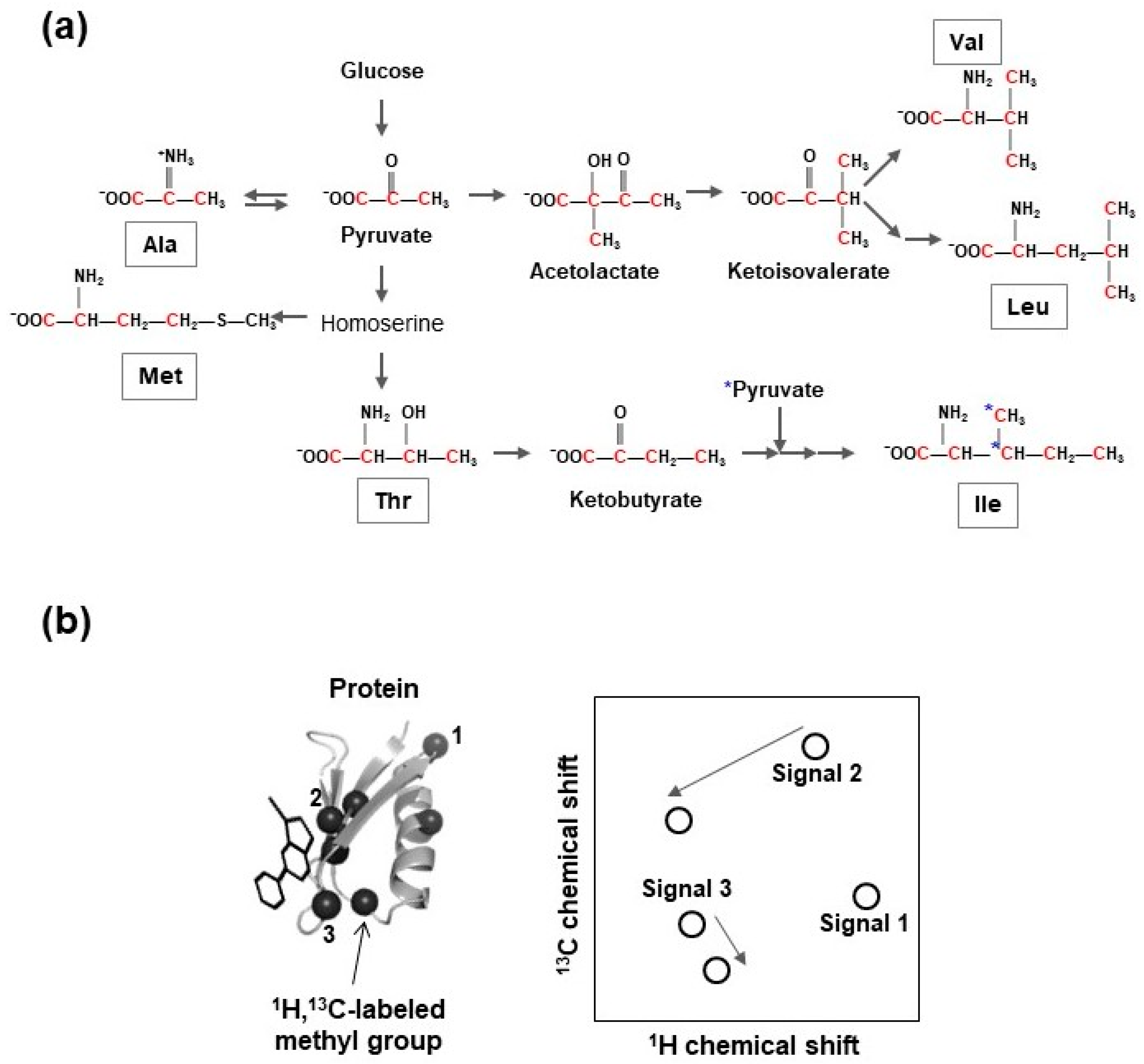 Molecules 23 00148 g004