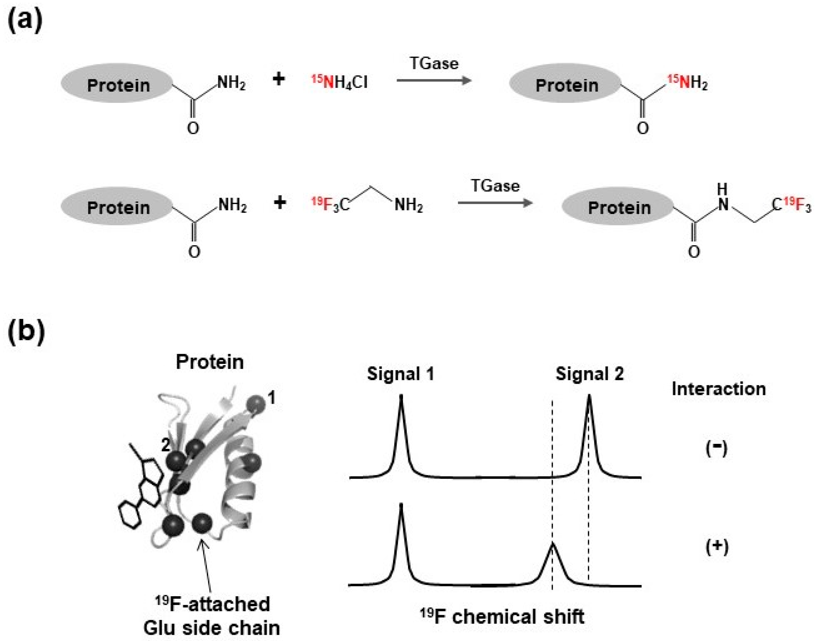 Molecules 23 00148 g005