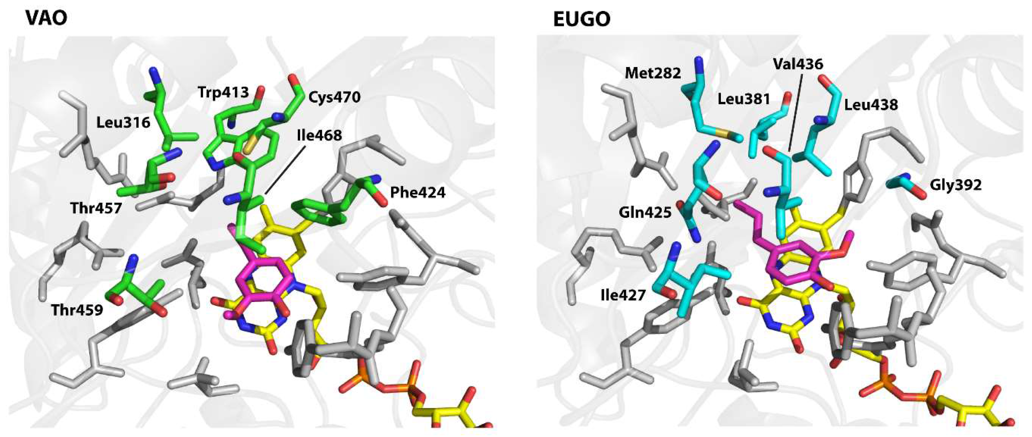Molecules 23 00164 g003