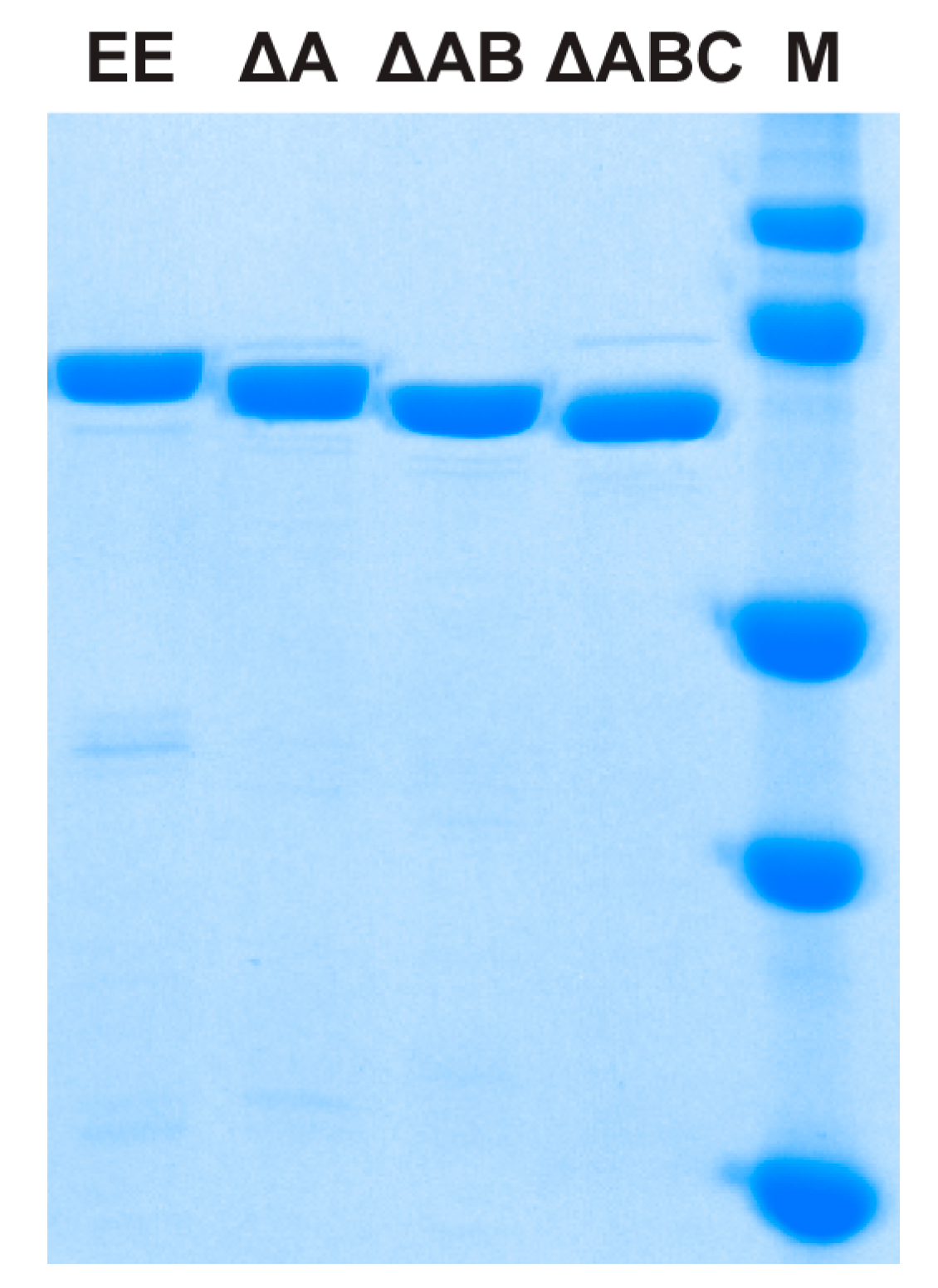 Molecules 23 00184 g002