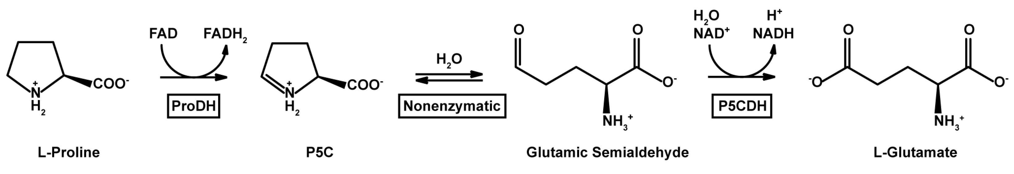 Molecules 23 00184 sch001