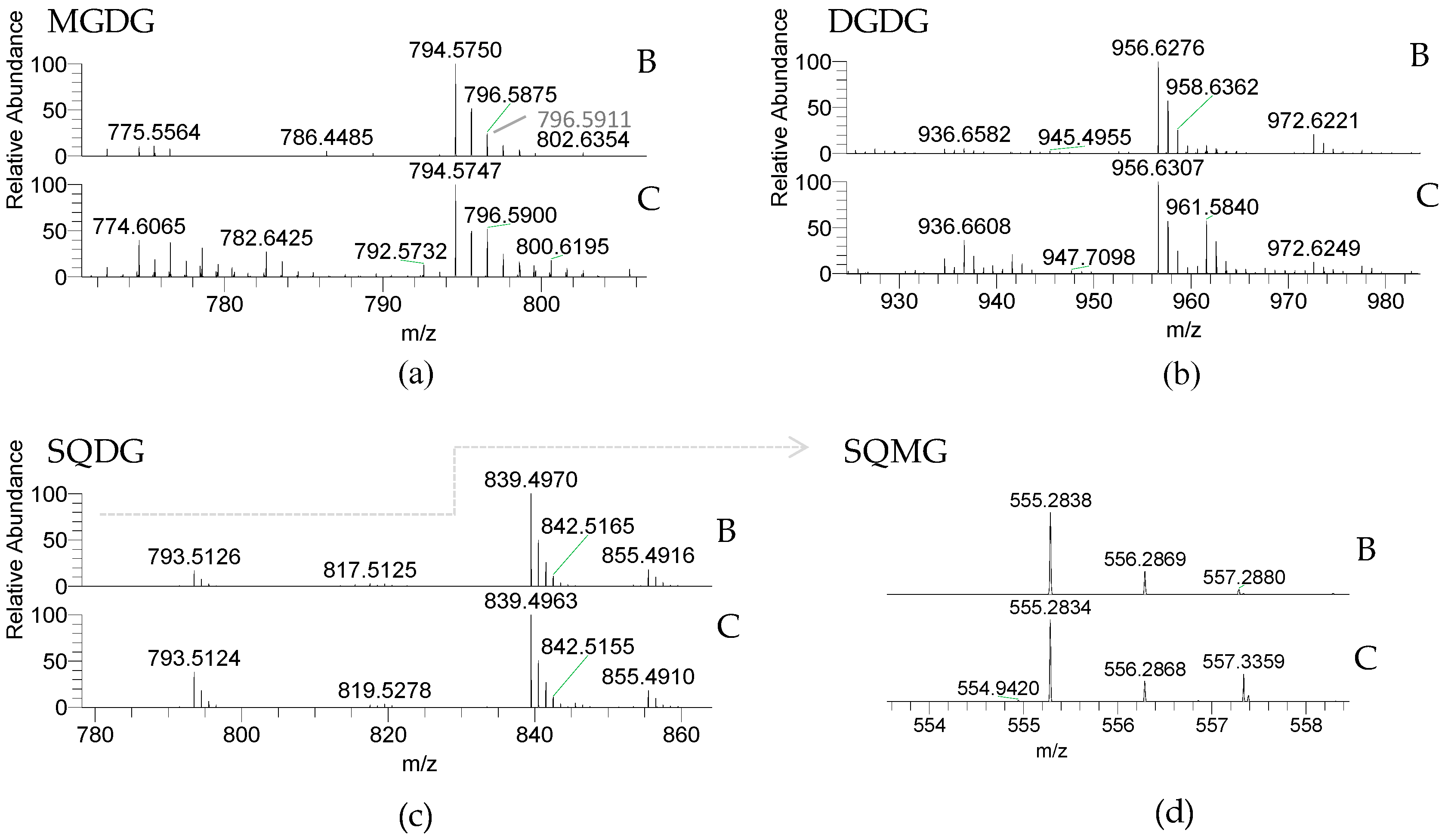 Molecules 23 00187 g002