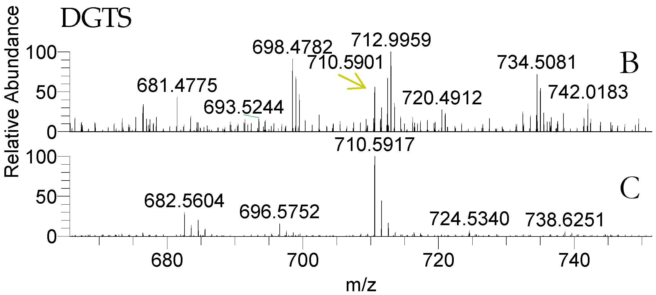 Molecules 23 00187 g004