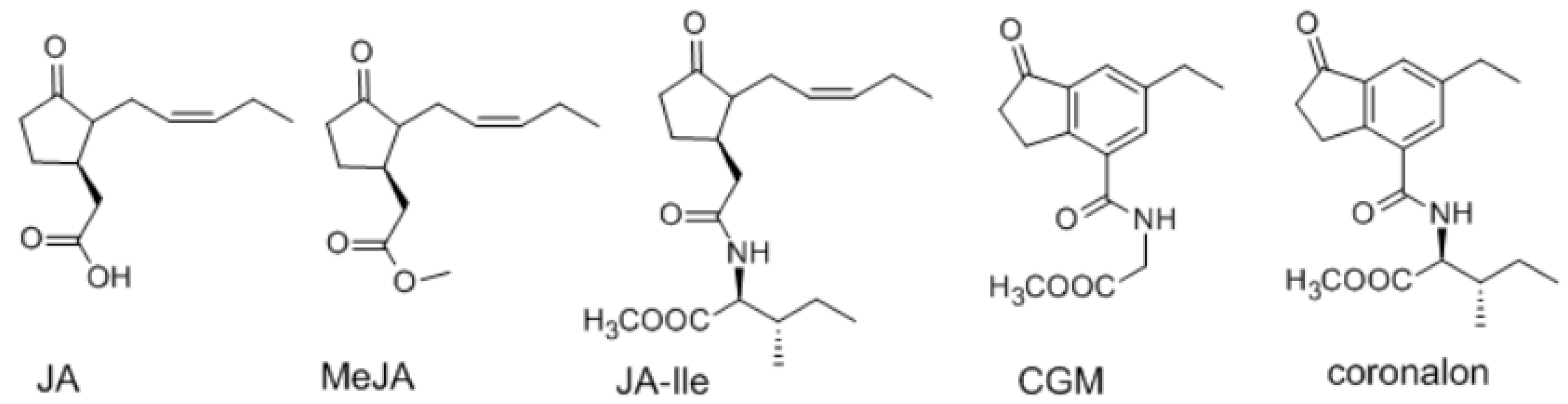 Molecules 23 00188 g001