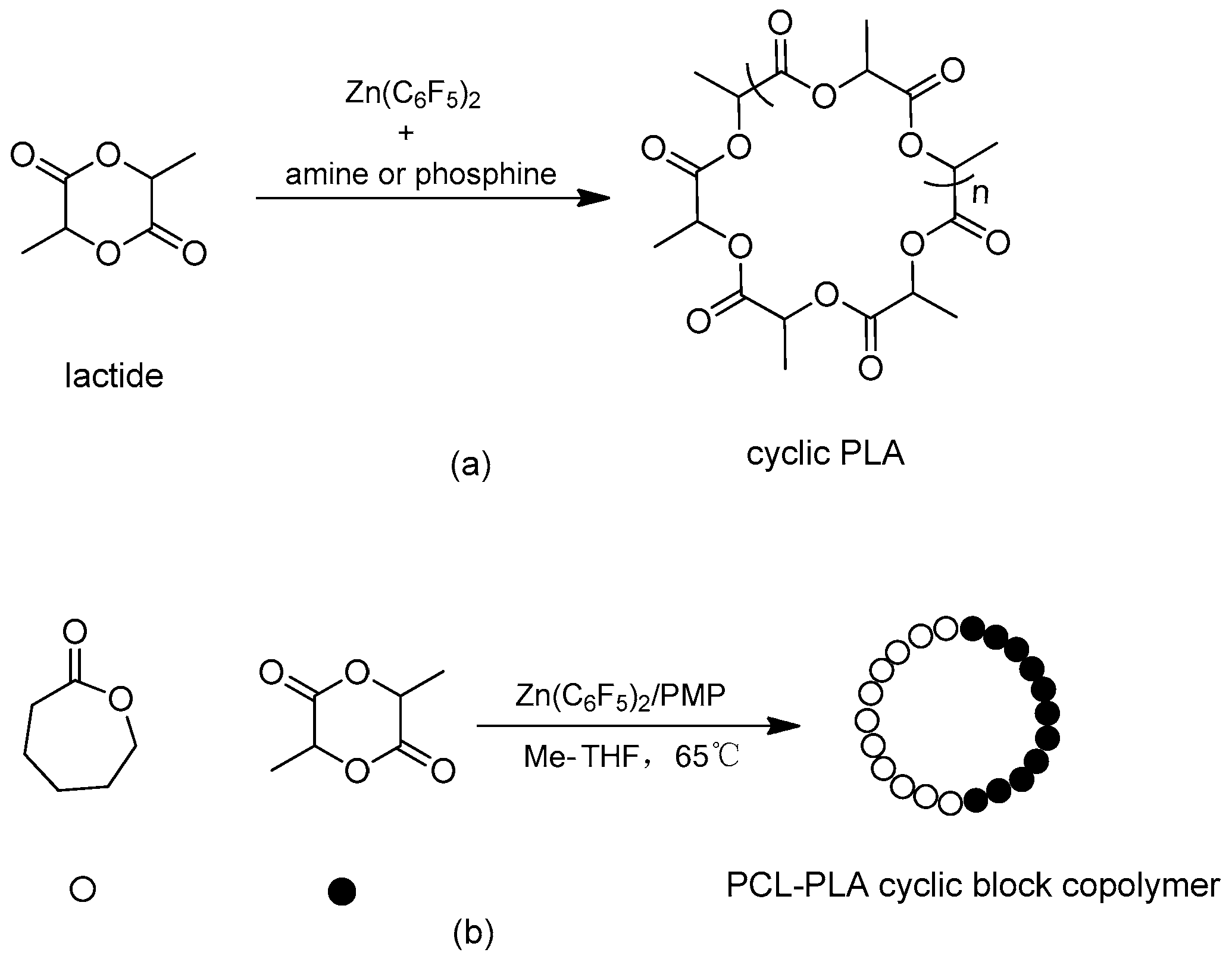 Molecules 23 00189 sch004