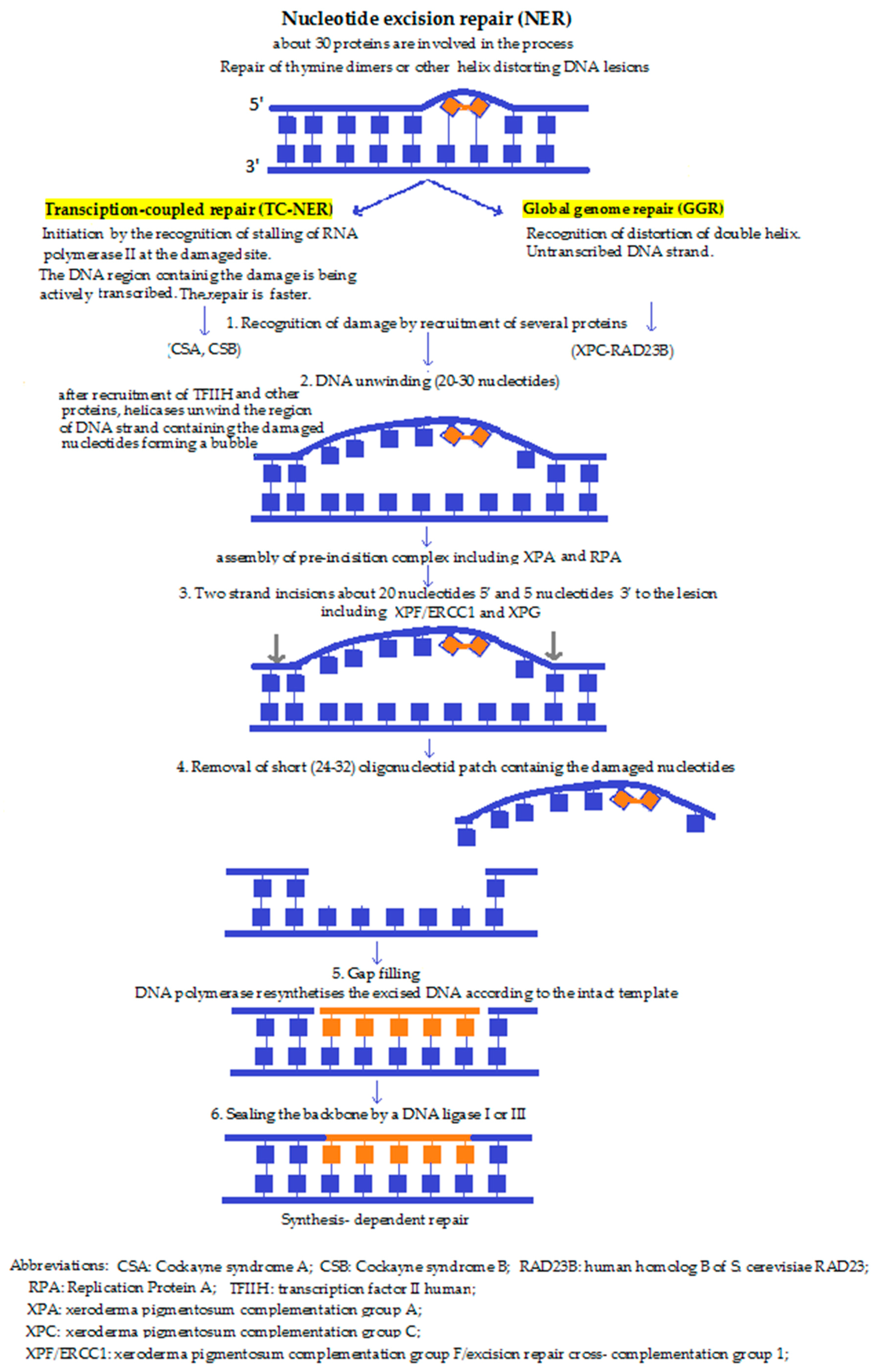 Molecules 23 00191 g002