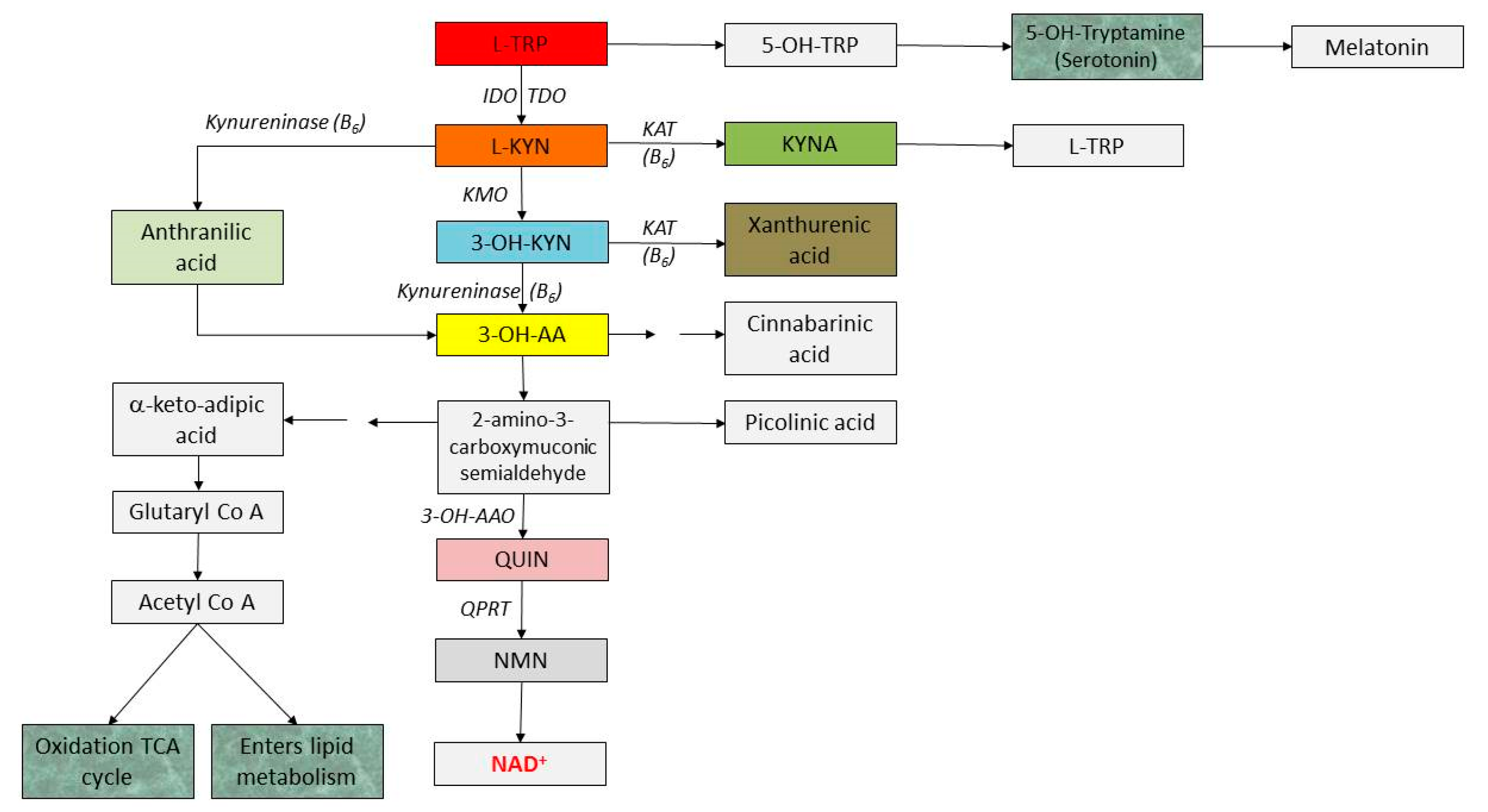 Molecules 23 00191 g006
