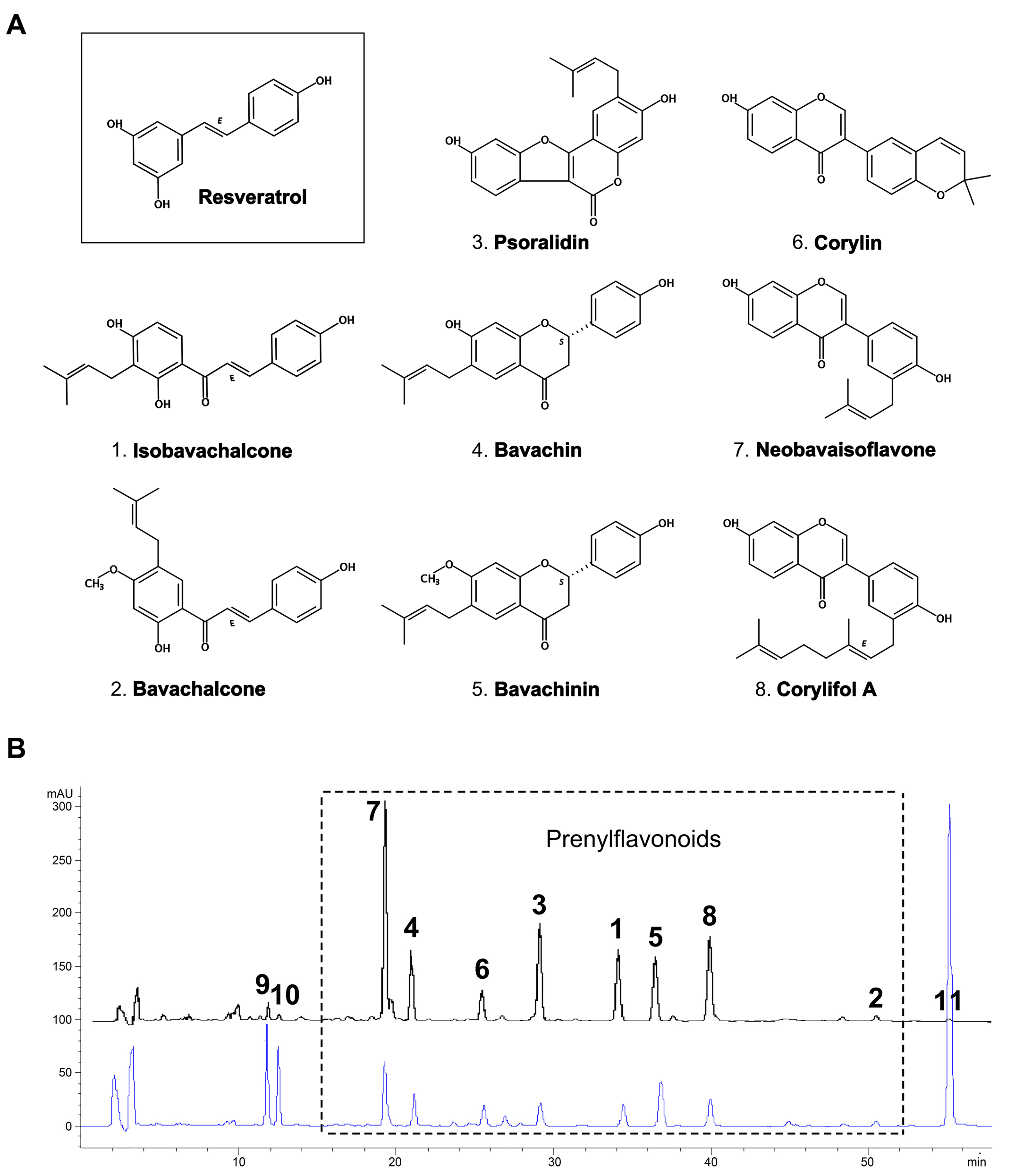 Molecules 23 00196 g001