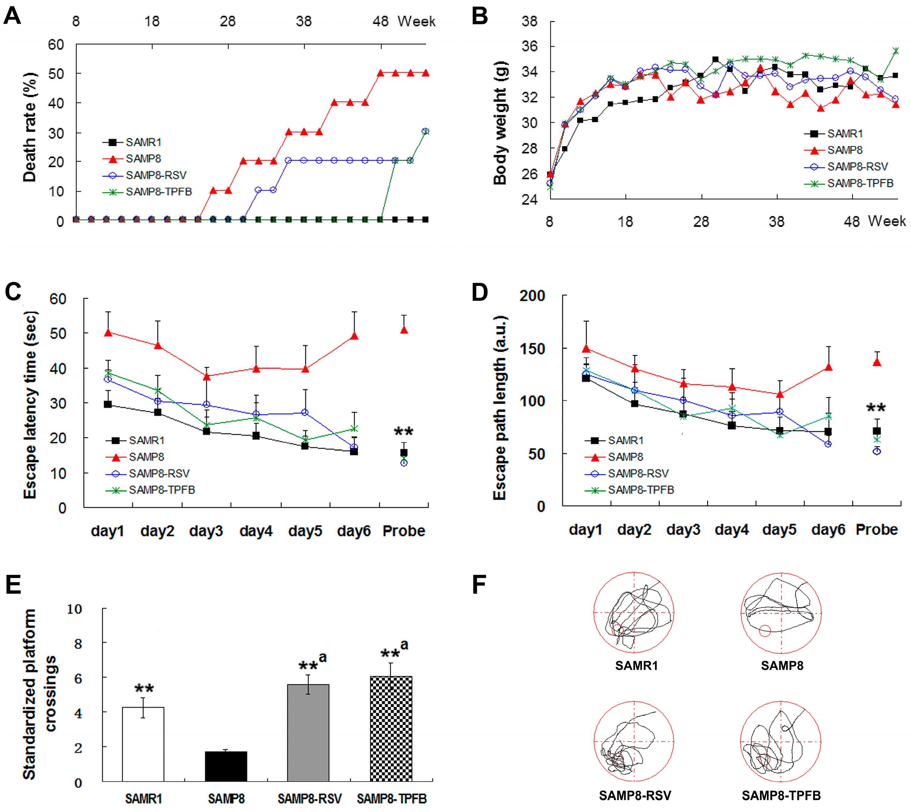 Molecules 23 00196 g002