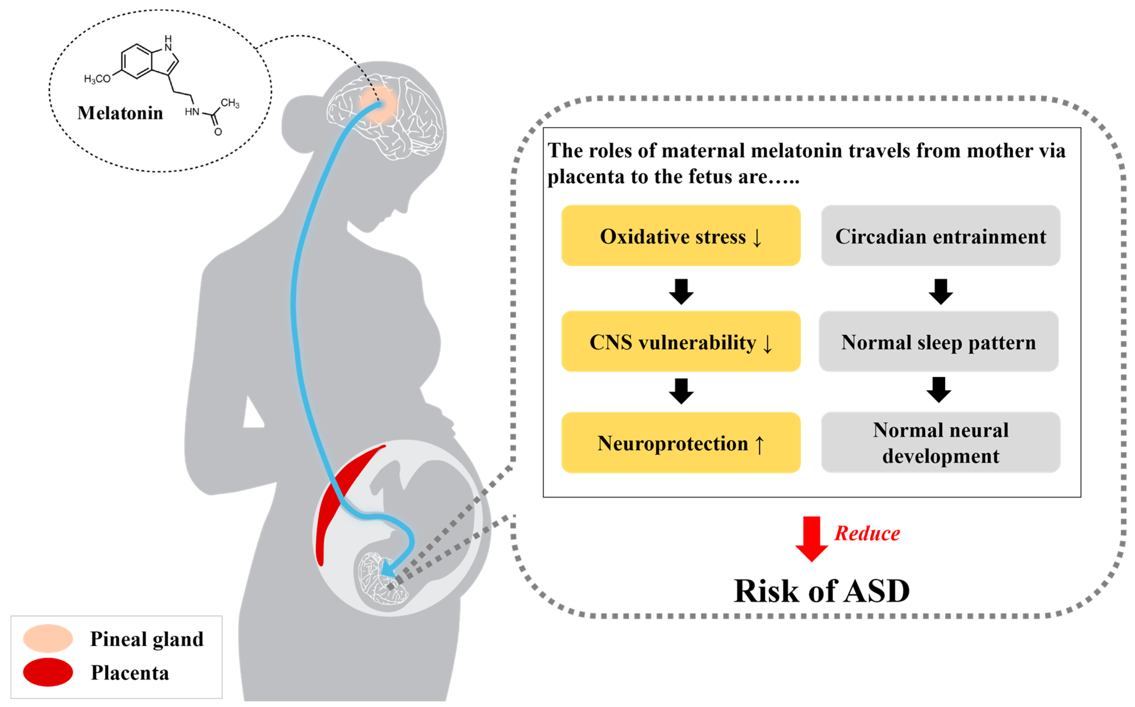 Molecules 23 00198 g002