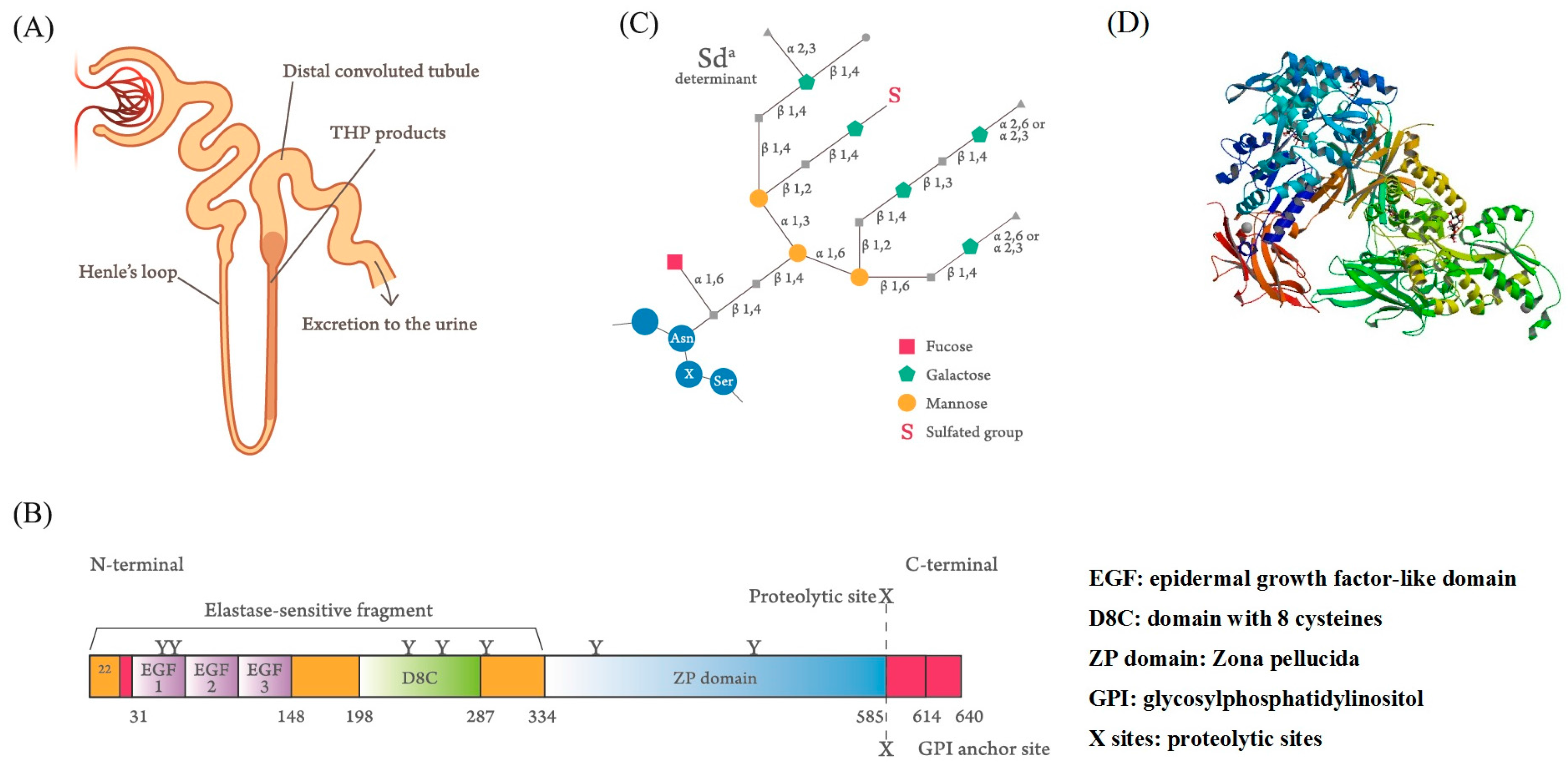Molecules 23 00200 g001