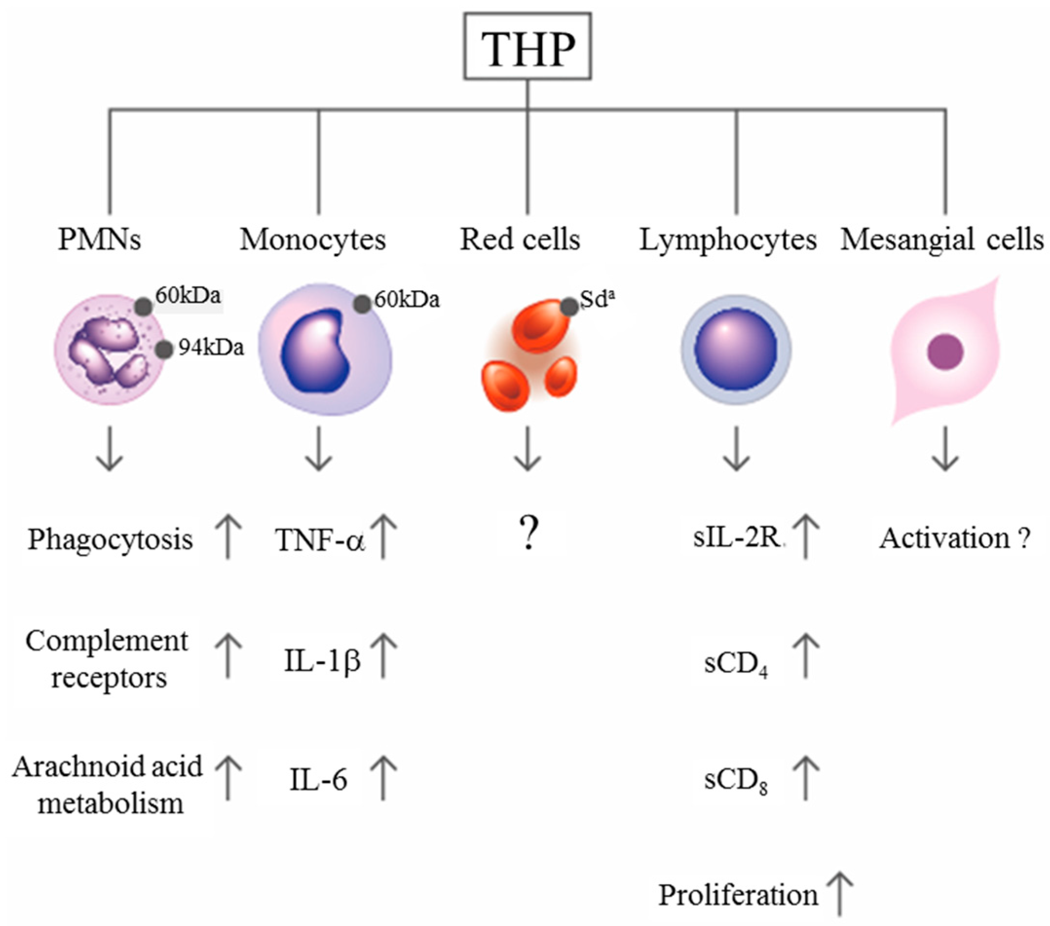 Molecules 23 00200 g002