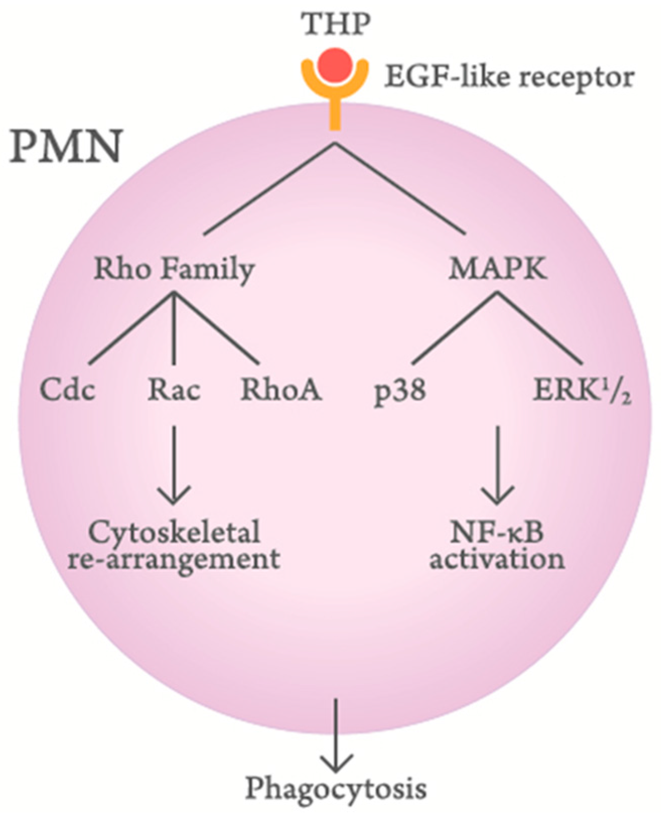 Molecules 23 00200 g003