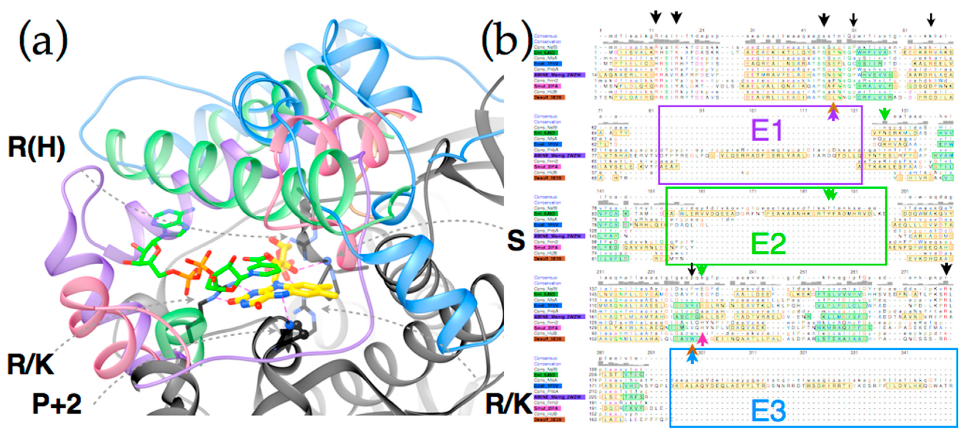 Molecules 23 00211 g005