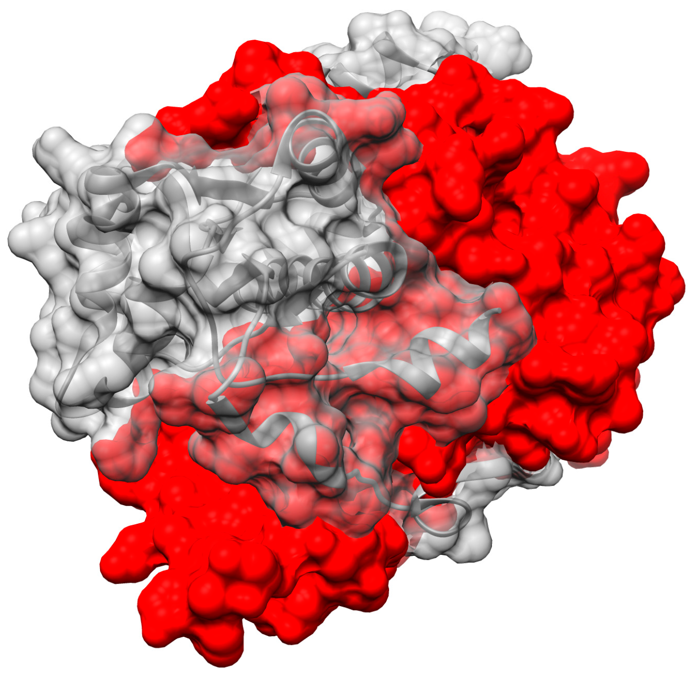 Molecules 23 00211 g008