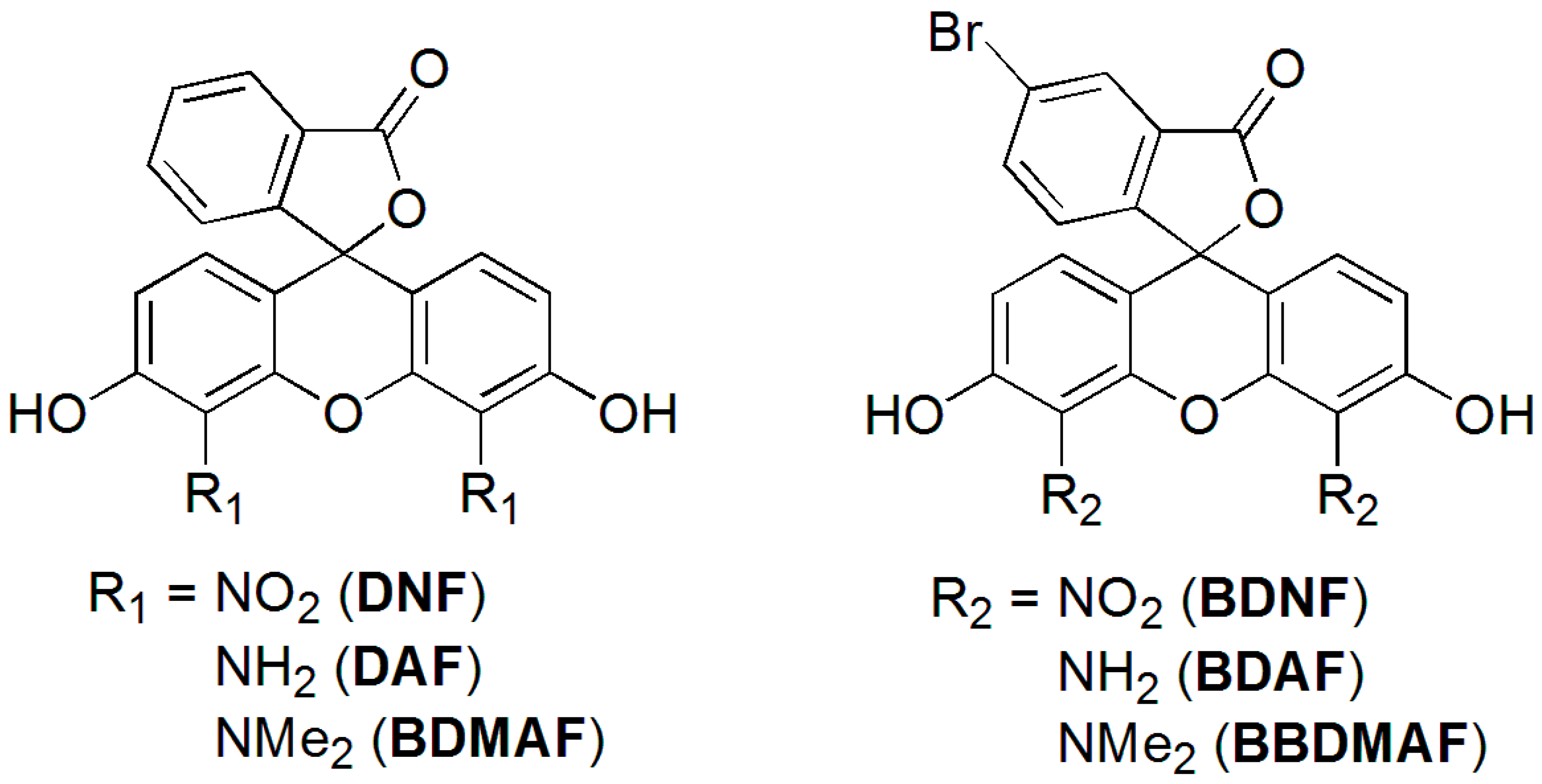 Molecules 23 00219 g001