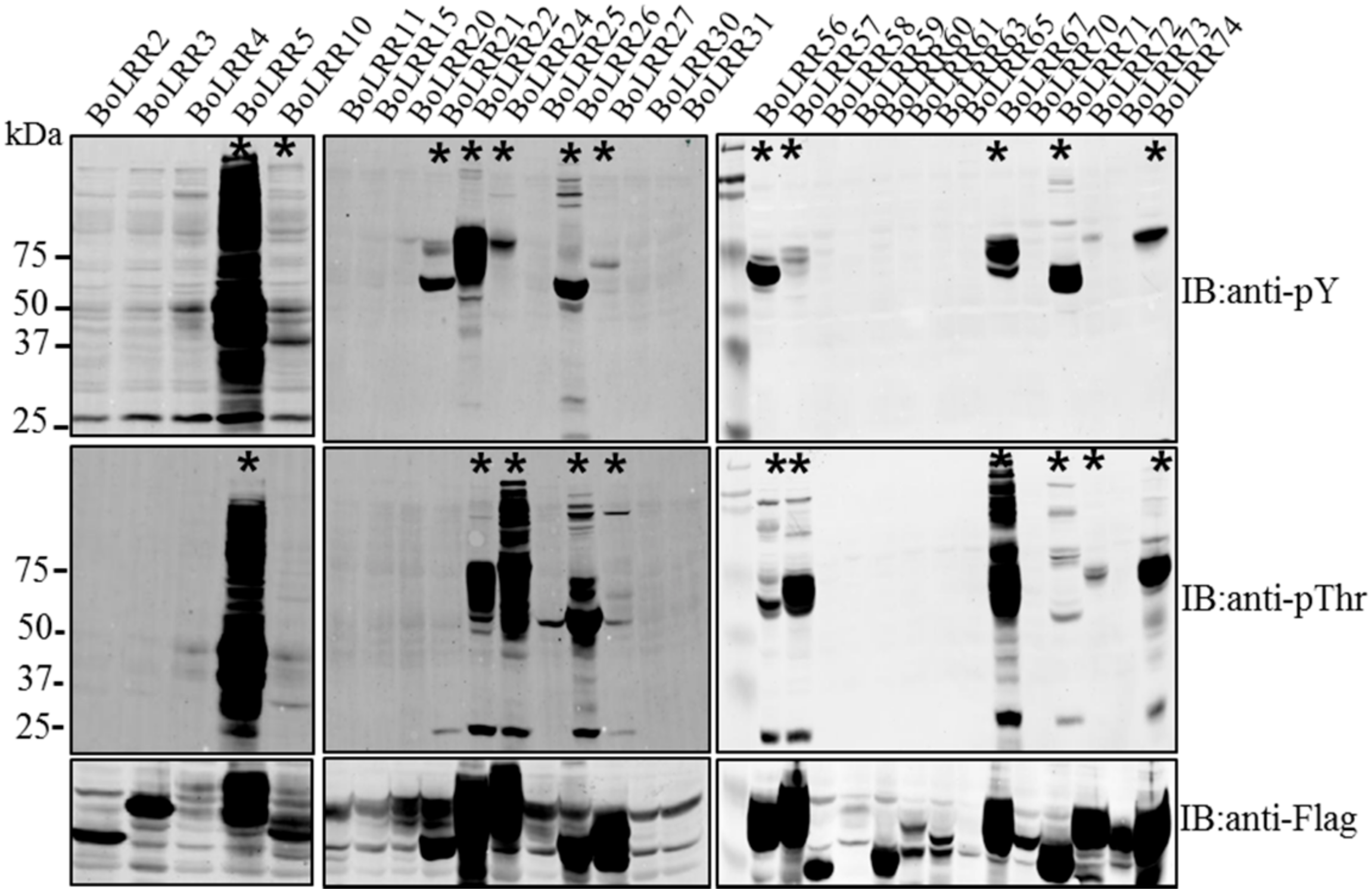 Molecules 23 00236 g001