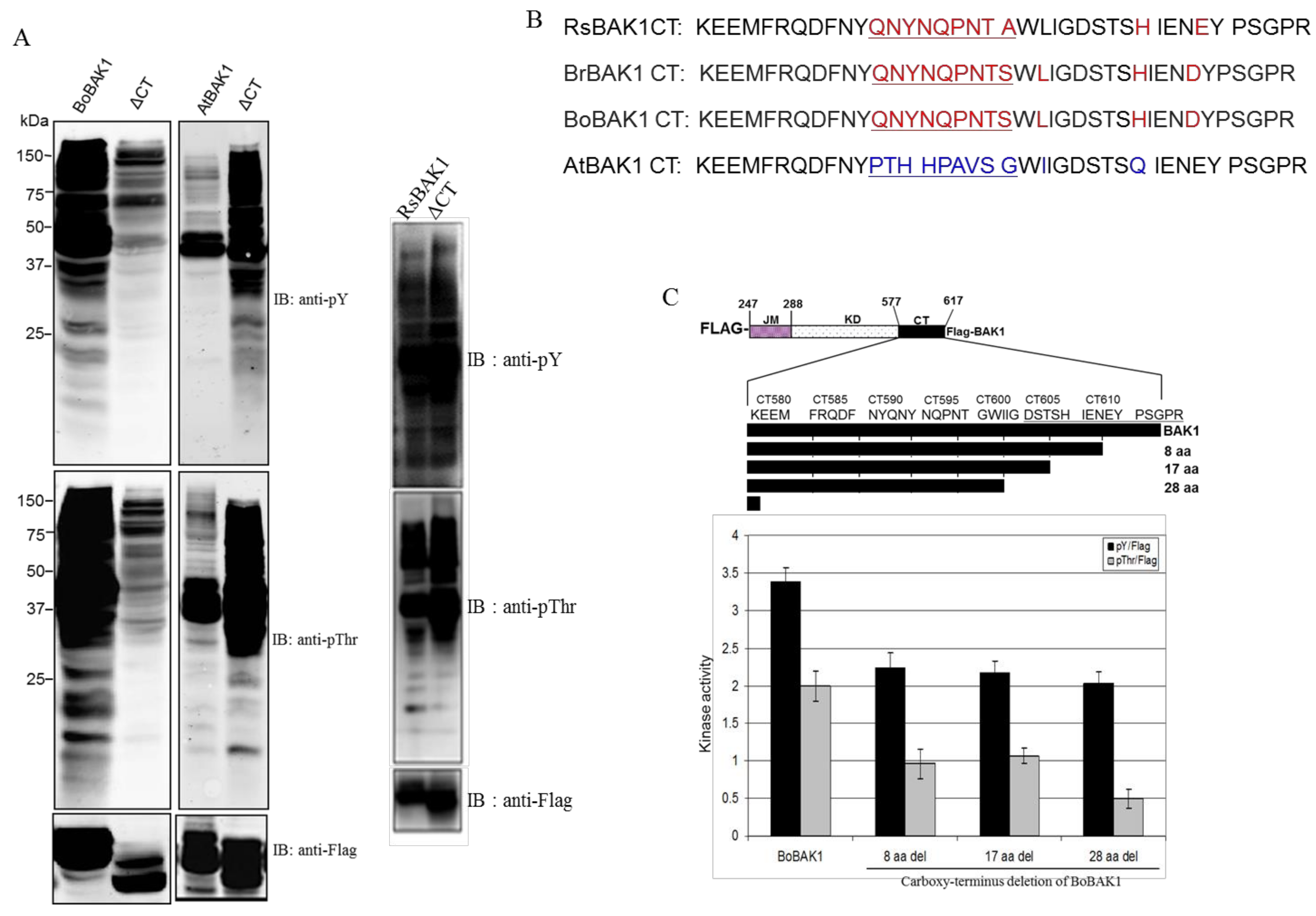 Molecules 23 00236 g005