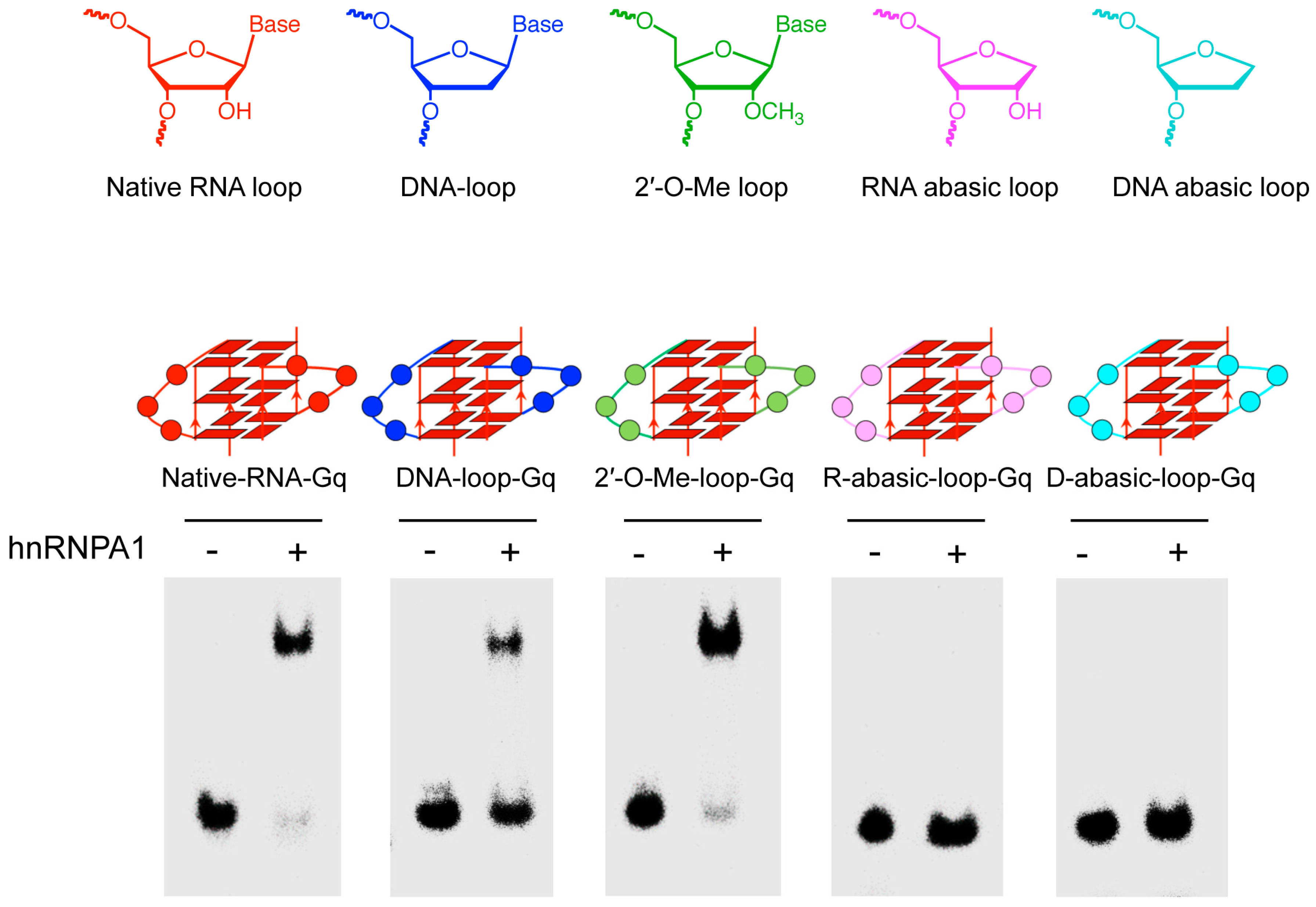 Molecules 23 00237 g001