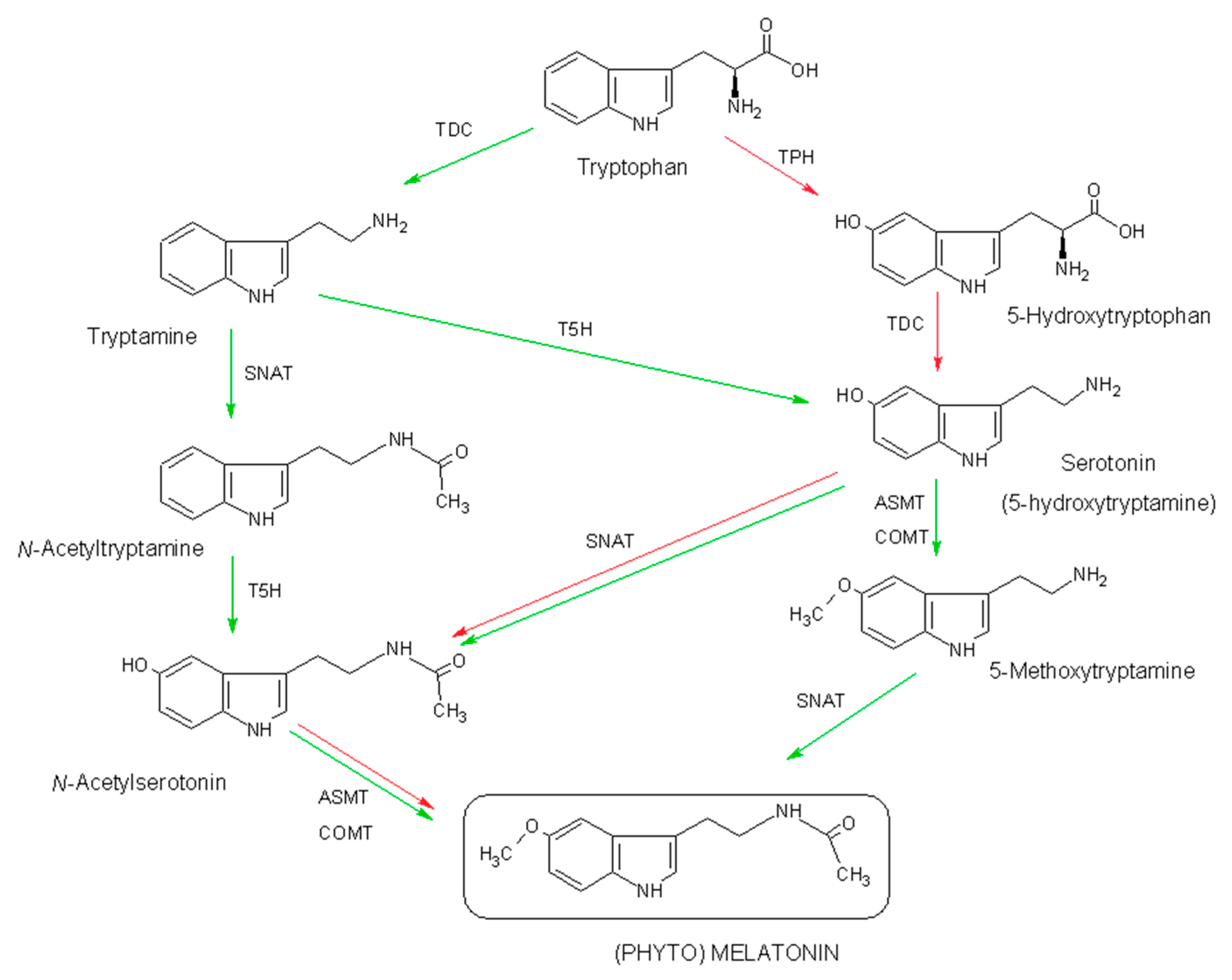 Molecules 23 00238 g001