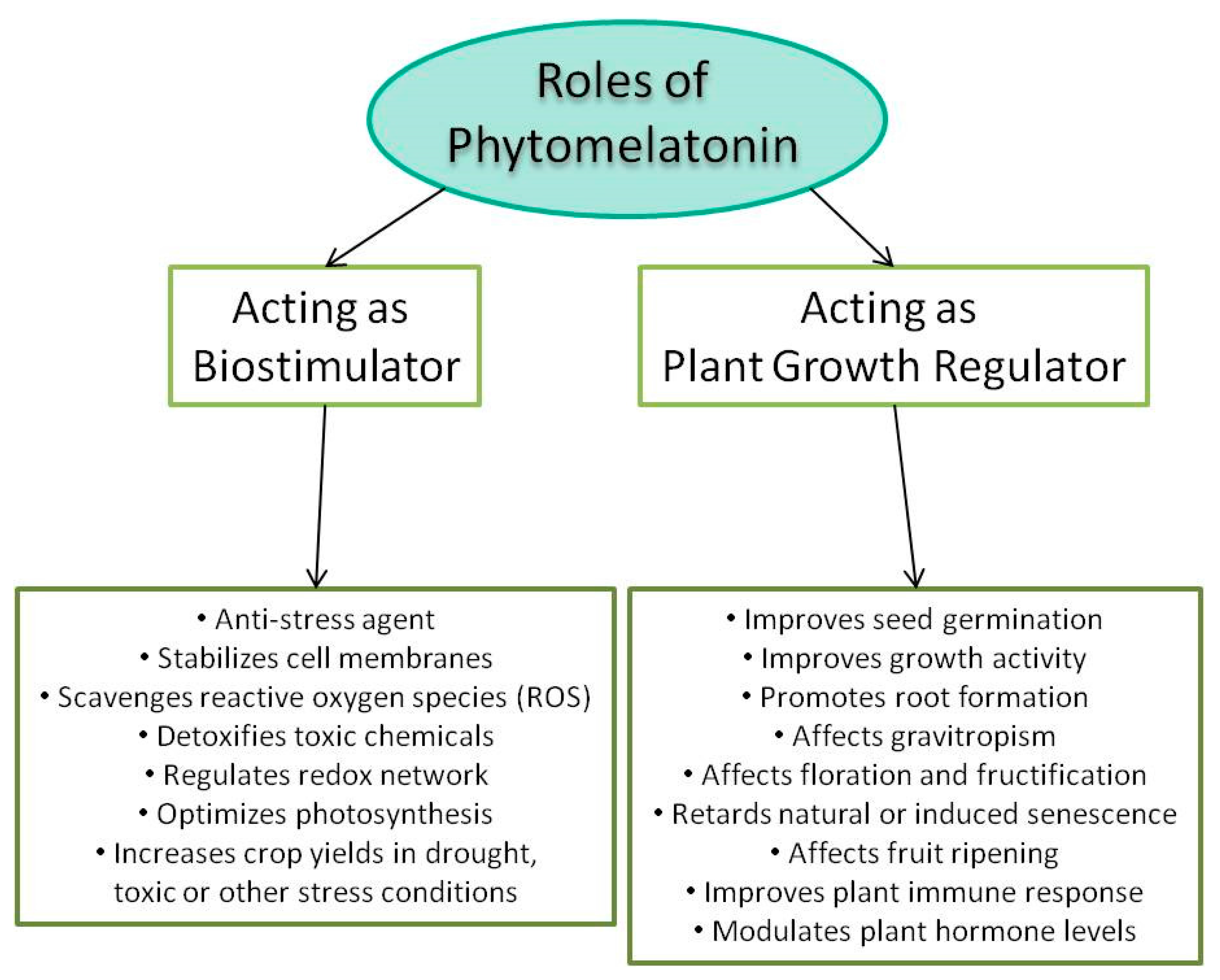 Molecules 23 00238 g002
