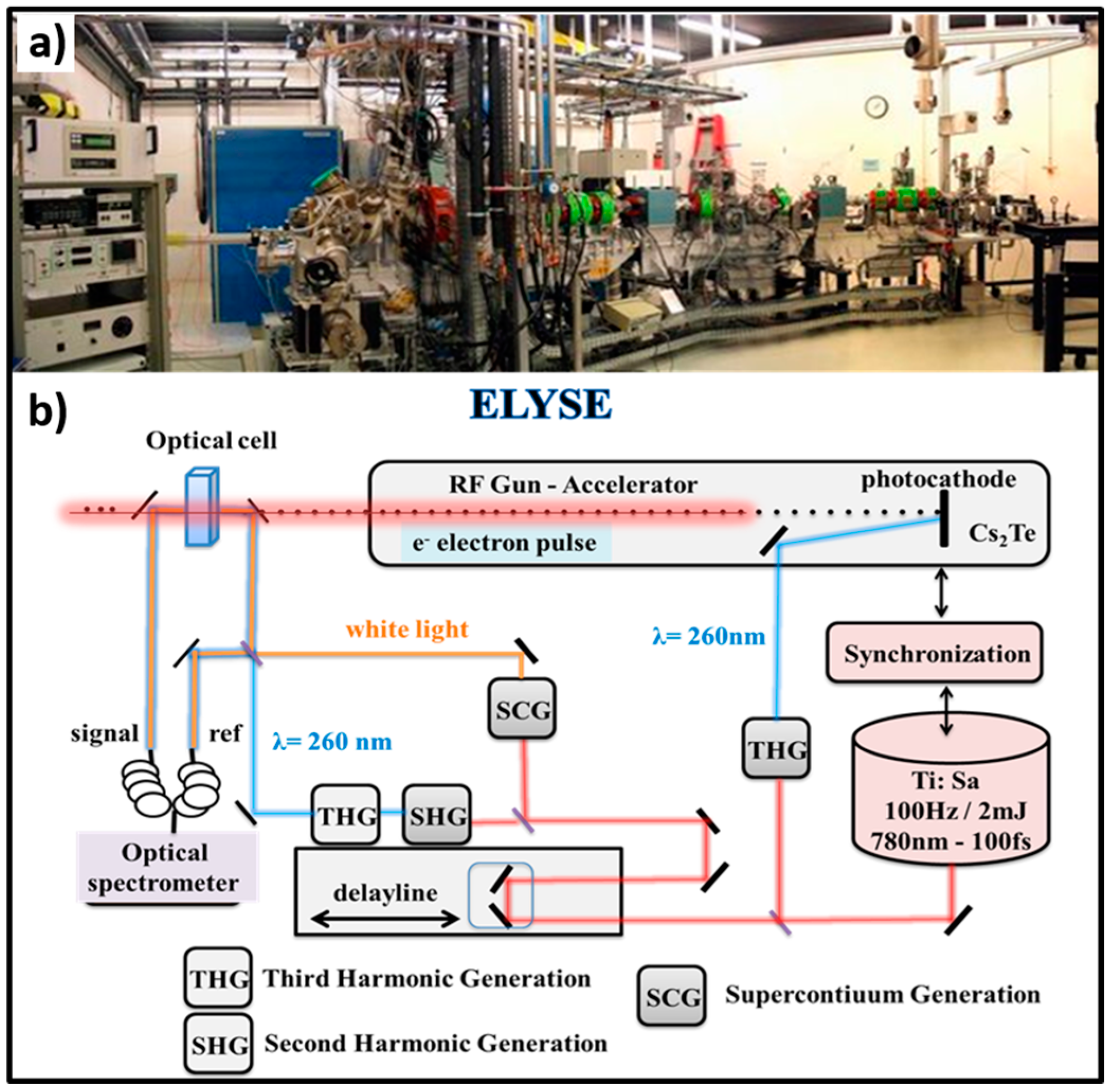 Molecules 23 00244 g001