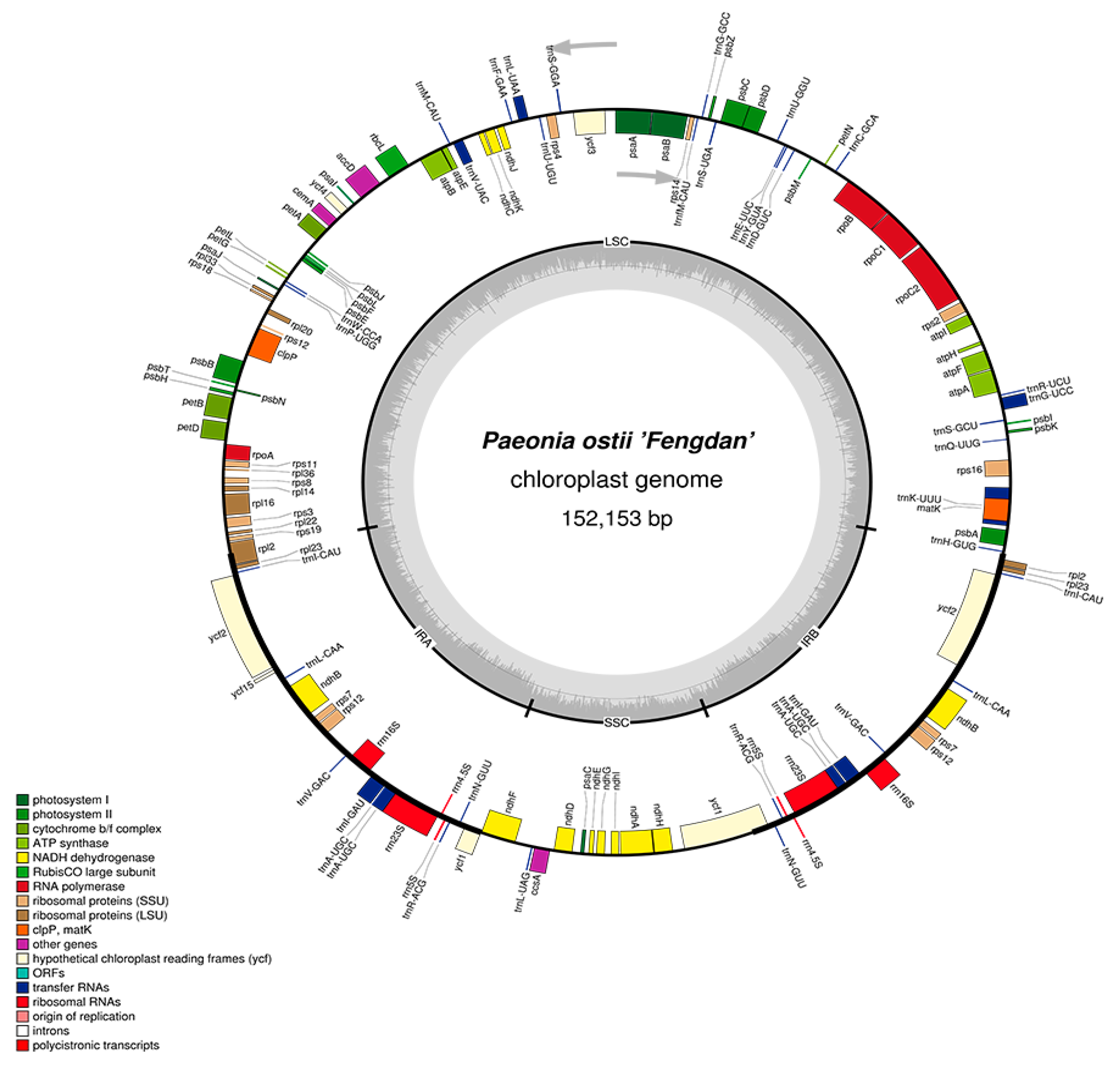 Molecules 23 00246 g001