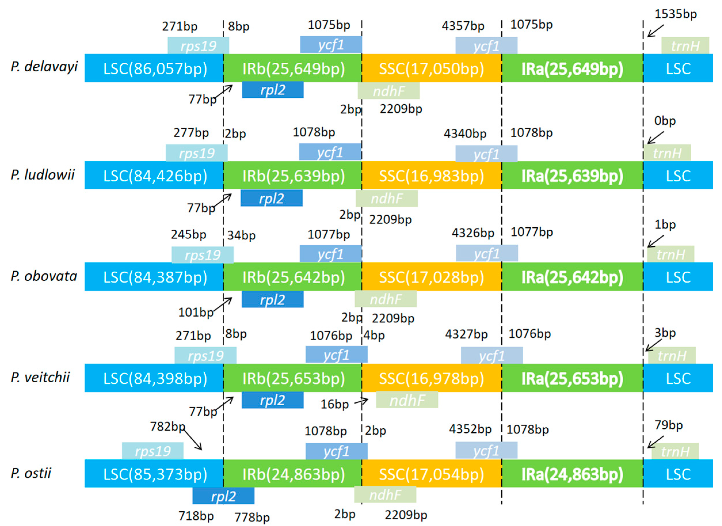 Molecules 23 00246 g005